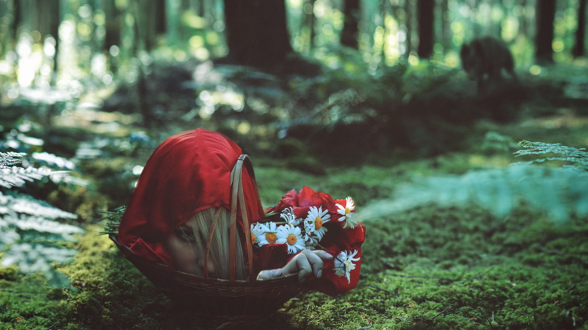 Wallpaper #ABqmUZMB1yWOL4qg0IJH346 Little Red Riding Hoodhd Wallpapers Backgrounds