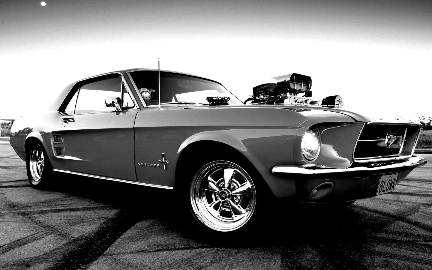 Wallpaper #B31O8Y4Bnwiau_P6Owky46 Calgary Mustangs HD Wallpapers Backgrounds