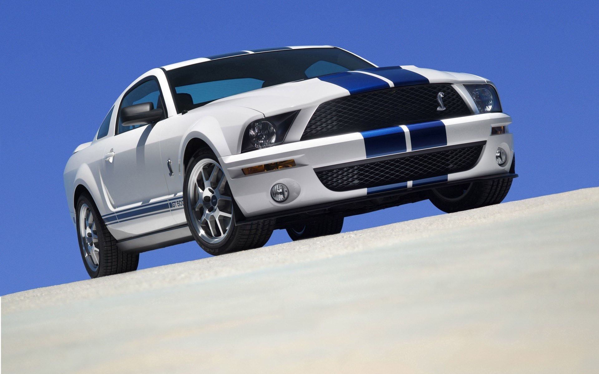 Wallpaper #1HfkJpMB-pgBXx6056OH323 Ford Mustang Shelby Cobra GT 500hd Wallpapers Backgrounds