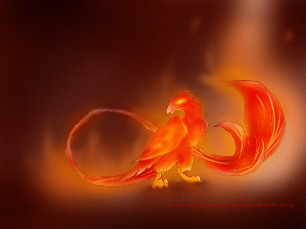 Wallpaper #2bc96 Image of a Majestic White Fire Phoenix on Craiyon