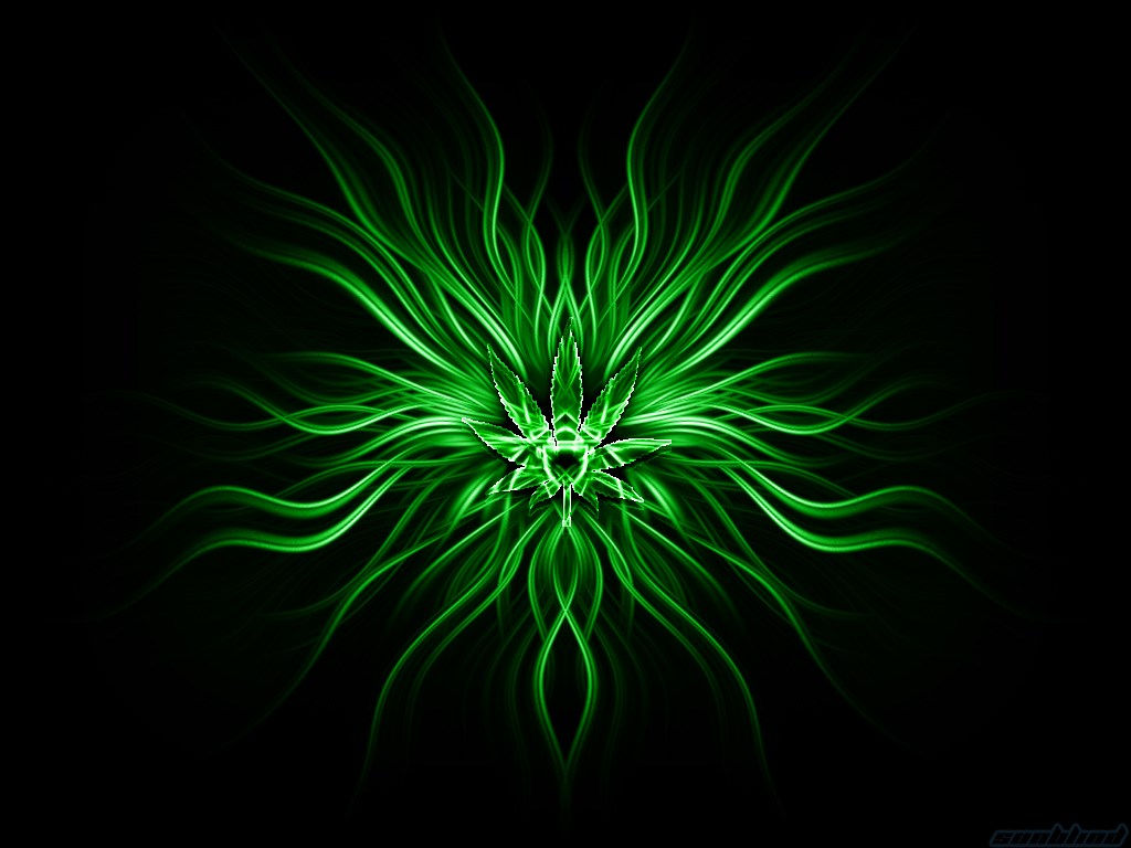 Wallpaper #4kDcLpMBJhL2WPbaNbo2219 1920x1200 High Resolution Wallpapers Widescreen Green Coolwallpapersme