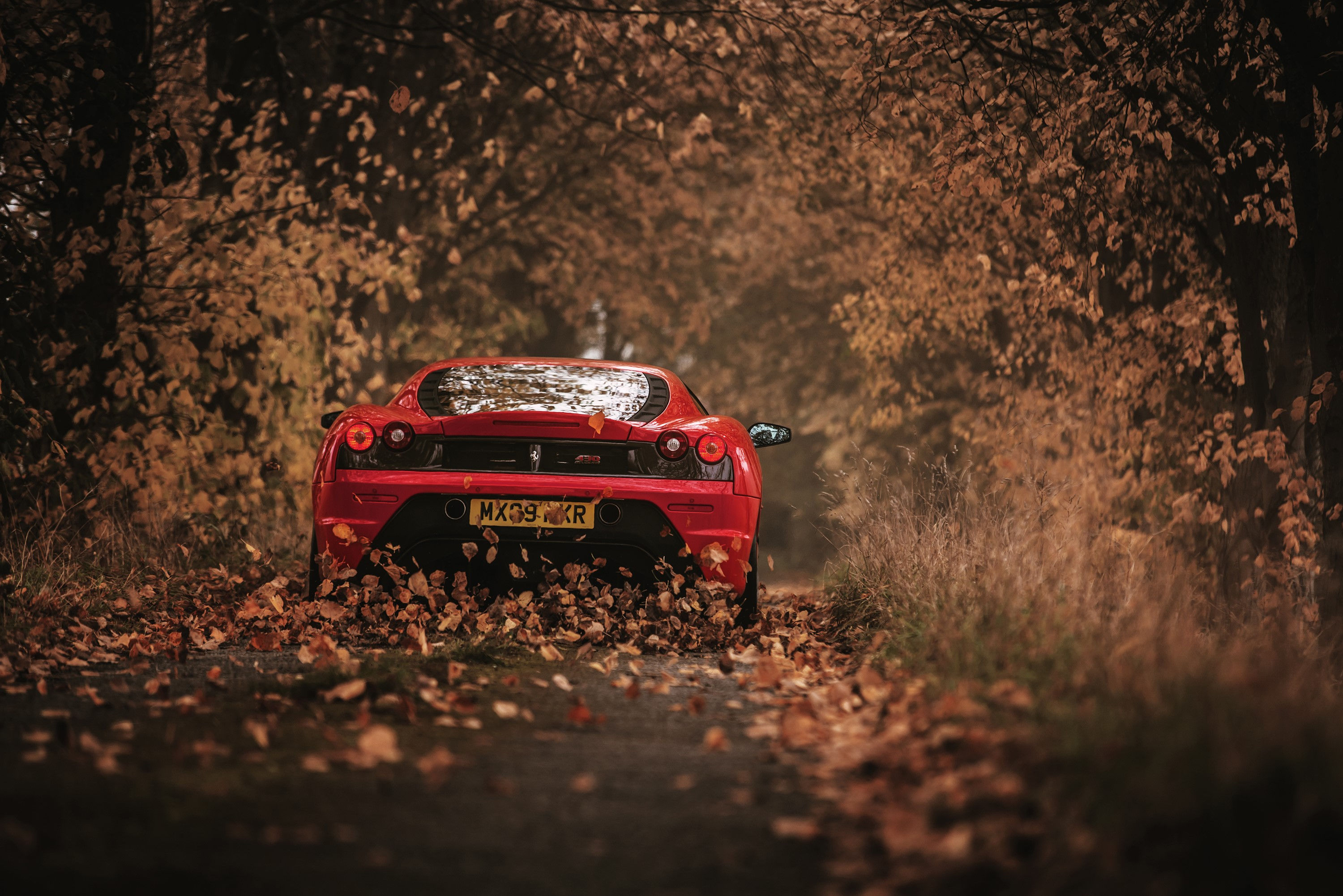 Wallpaper #ITGBNZMB5zzyi_yY5Vf_171 Ferrari Scuderia Racing Red Rear View Autumn Wallpaper