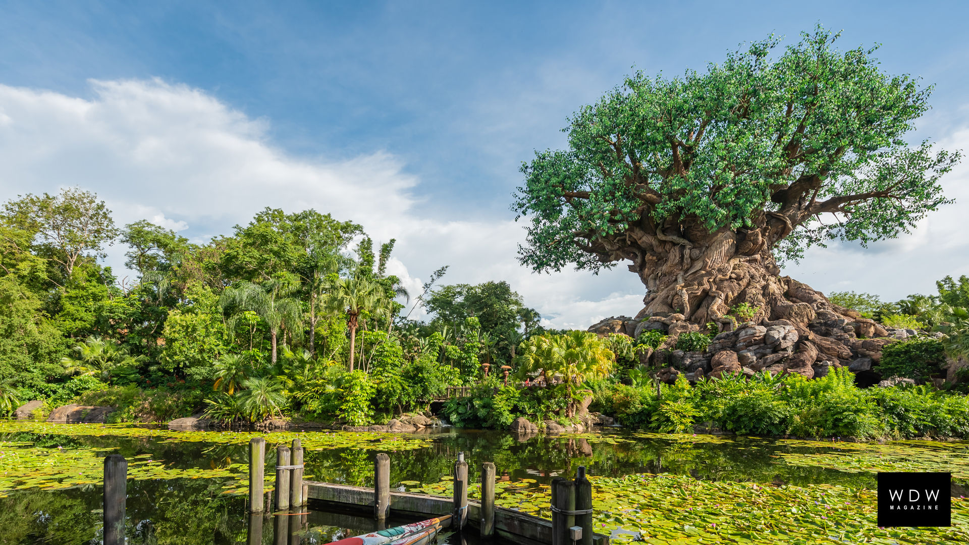 Wallpaper #7HcHKJMB-pgBXx60z6g3137 Download These Disney World Zoom Backgrounds Wdw Magazine