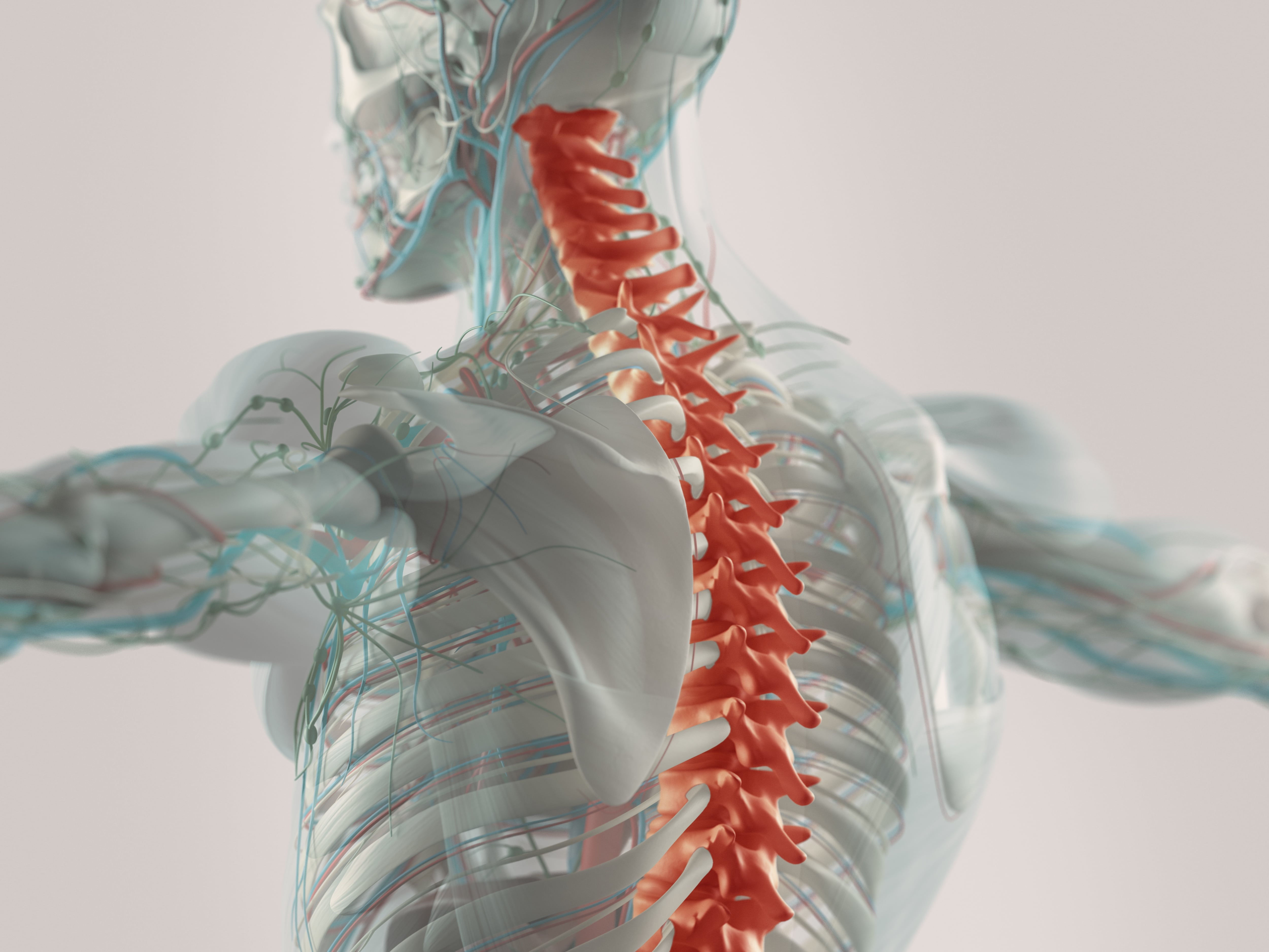 Wallpaper #HmeNC5MBSpphPi3-KNo9220 Incomplete Spinal Cord Injury Spinalcordcom