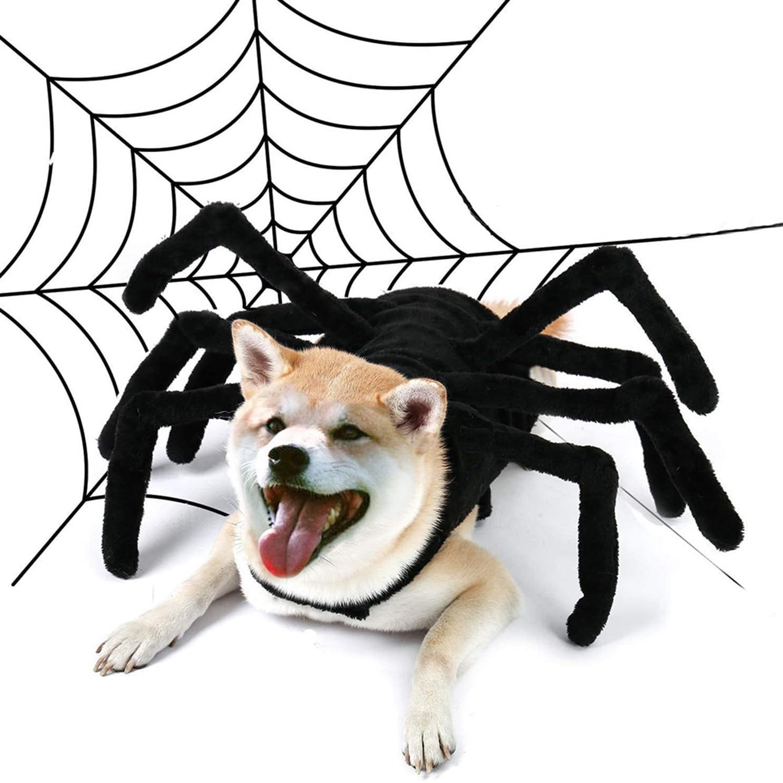 Wallpaper #ran_ipcBxbDgA0RlU_Fj82 Willed Pet Spider Halloween Costume for Cats and Small to Medium Dogs