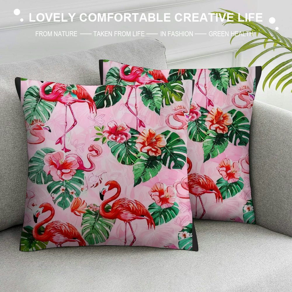 Wallpaper #b5610 30 Pretty House Plants Ideas for Living Room Decoration Living Room