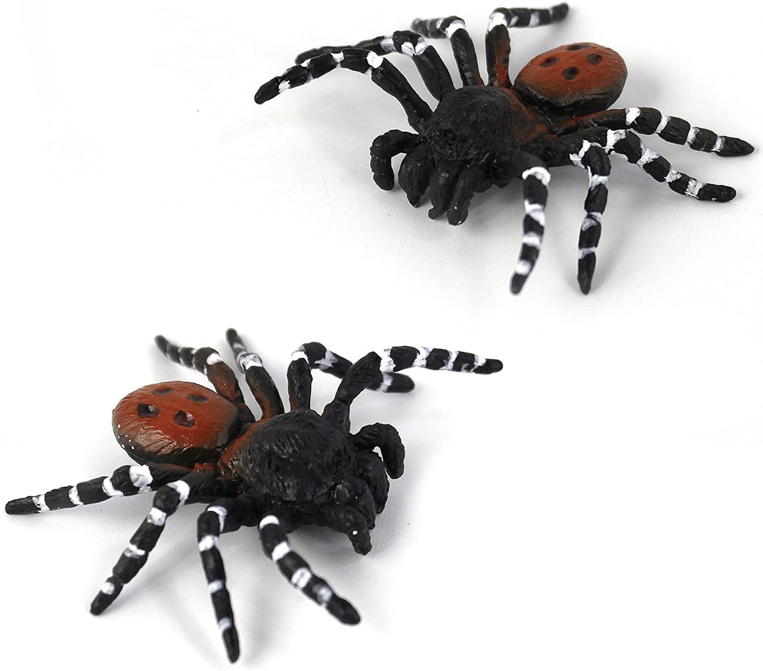 Wallpaper #1fQOOpMBKFX8bn3r-3cr118 Ranseti 2 Pcs Realistic Spider Figuresgiant Toy Spider Animal Model