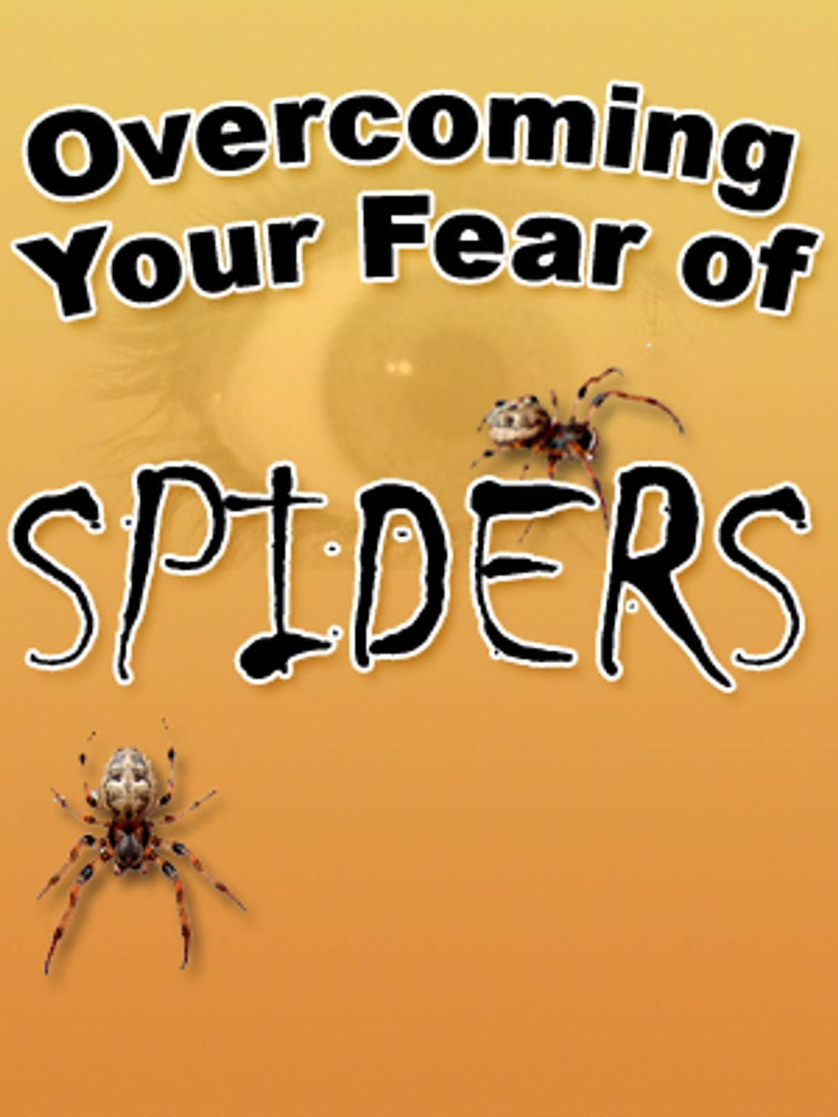 Wallpaper #KBmFDo8BtGB6xQ78G1oC55 Overcoming Your Fear of Spiders eBook Walmartcom Walmartcom