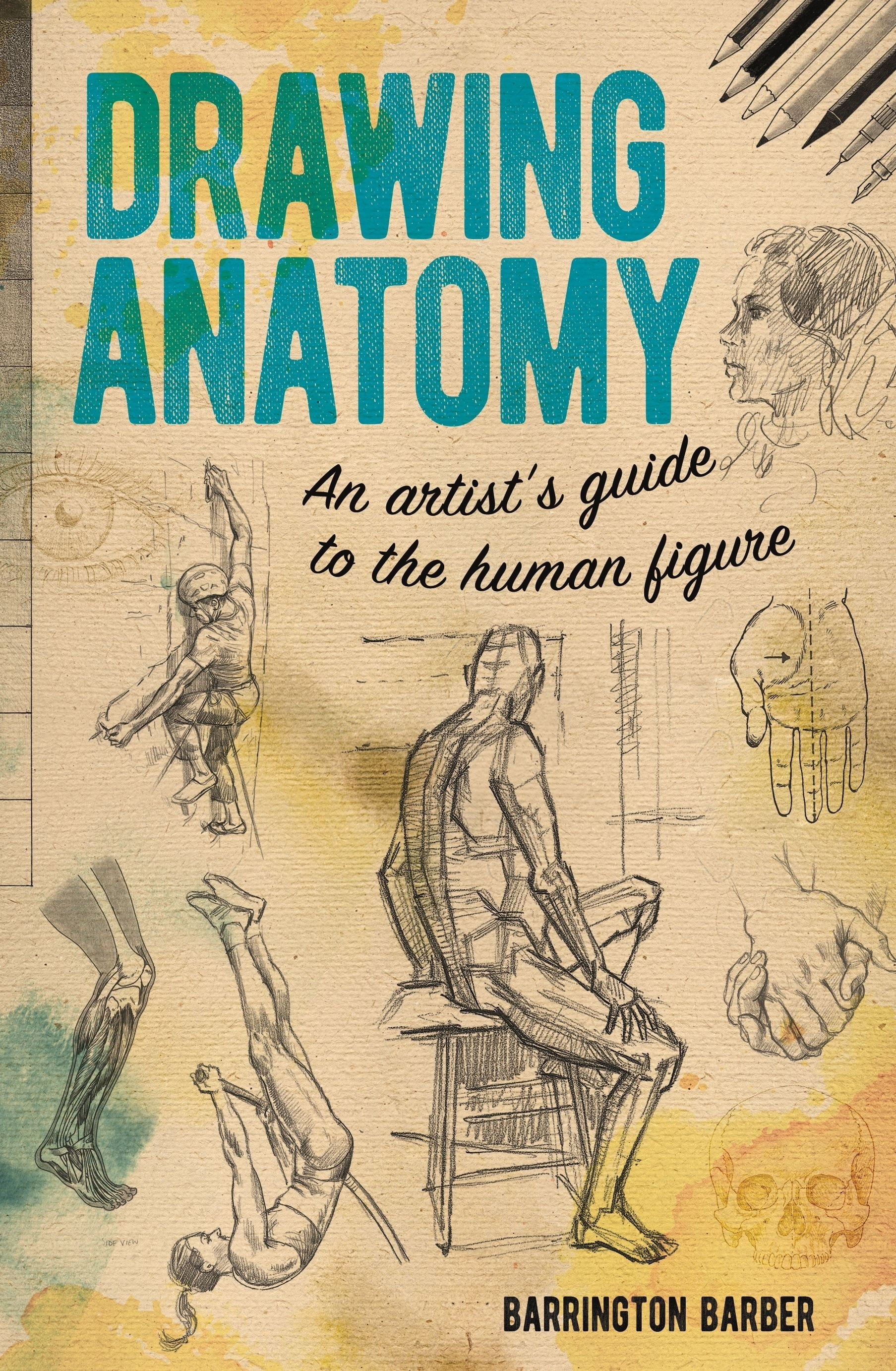 Wallpaper #WWdkEpMBSpphPi3-tvsO153 Drawing Anatomy an Artists Guide to the Human Figure Paperback