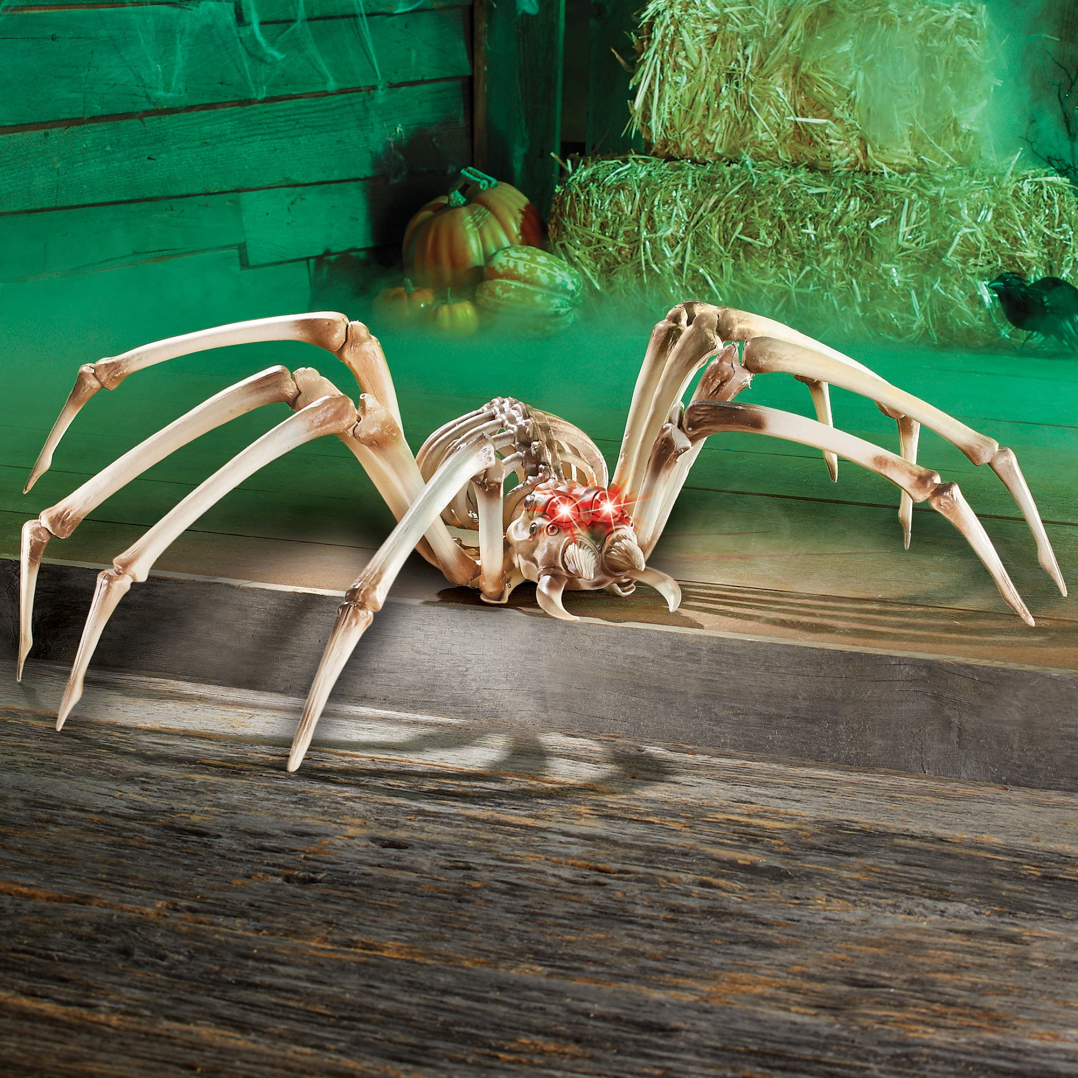 Wallpaper #XRnNEo8BtGB6xQ78cGRn13 Giant Halloween Spider Best Decorations