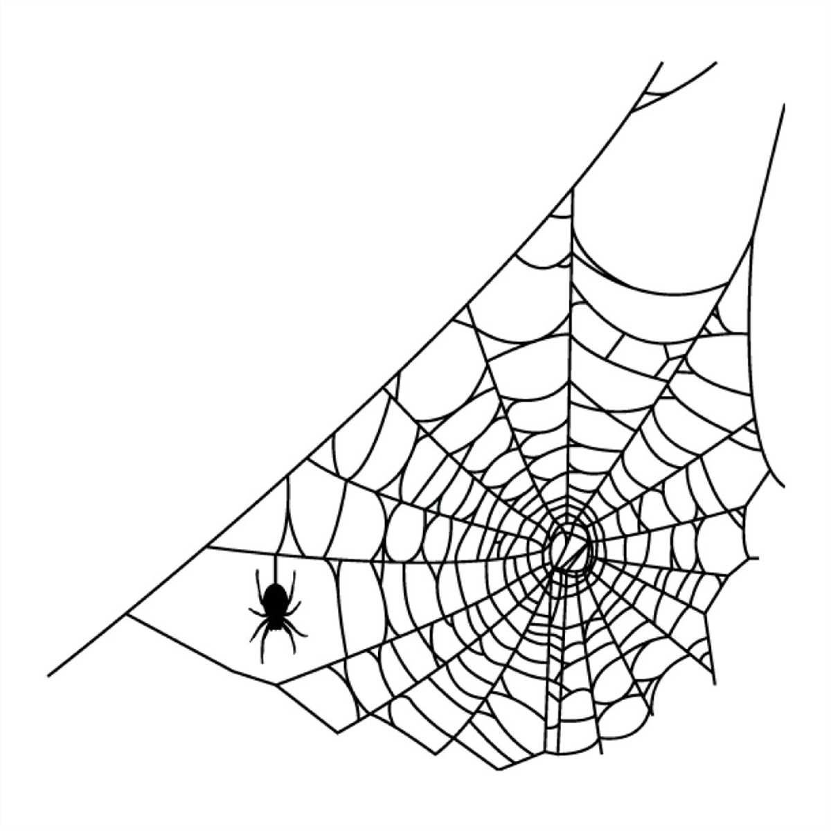Wallpaper #7v_Ka5MB3lSXT3zUneiq230 Small Spider Spider Web Svg Silhouette Inspire Uplift