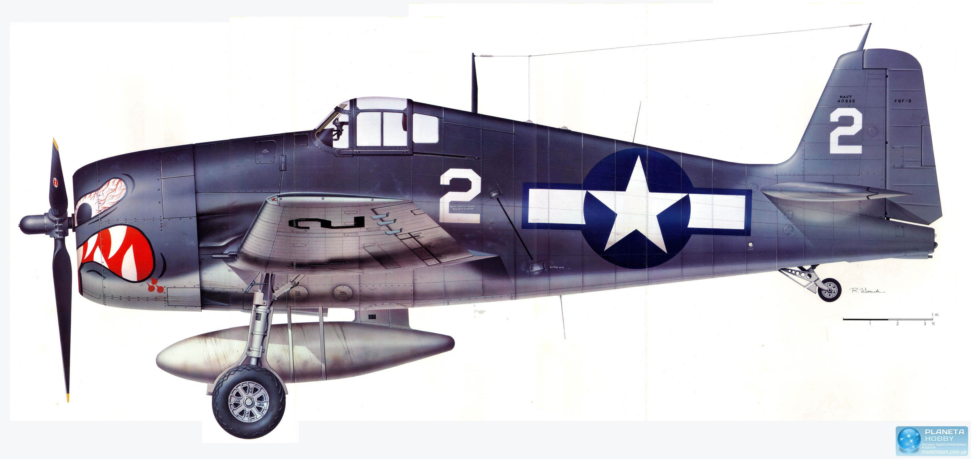 Wallpaper #hGfTDZMBSpphPi3-7edw221 Samolet Fms Grumman F6f Hellcat Pnp 1400mm Fms034 Kupit Po