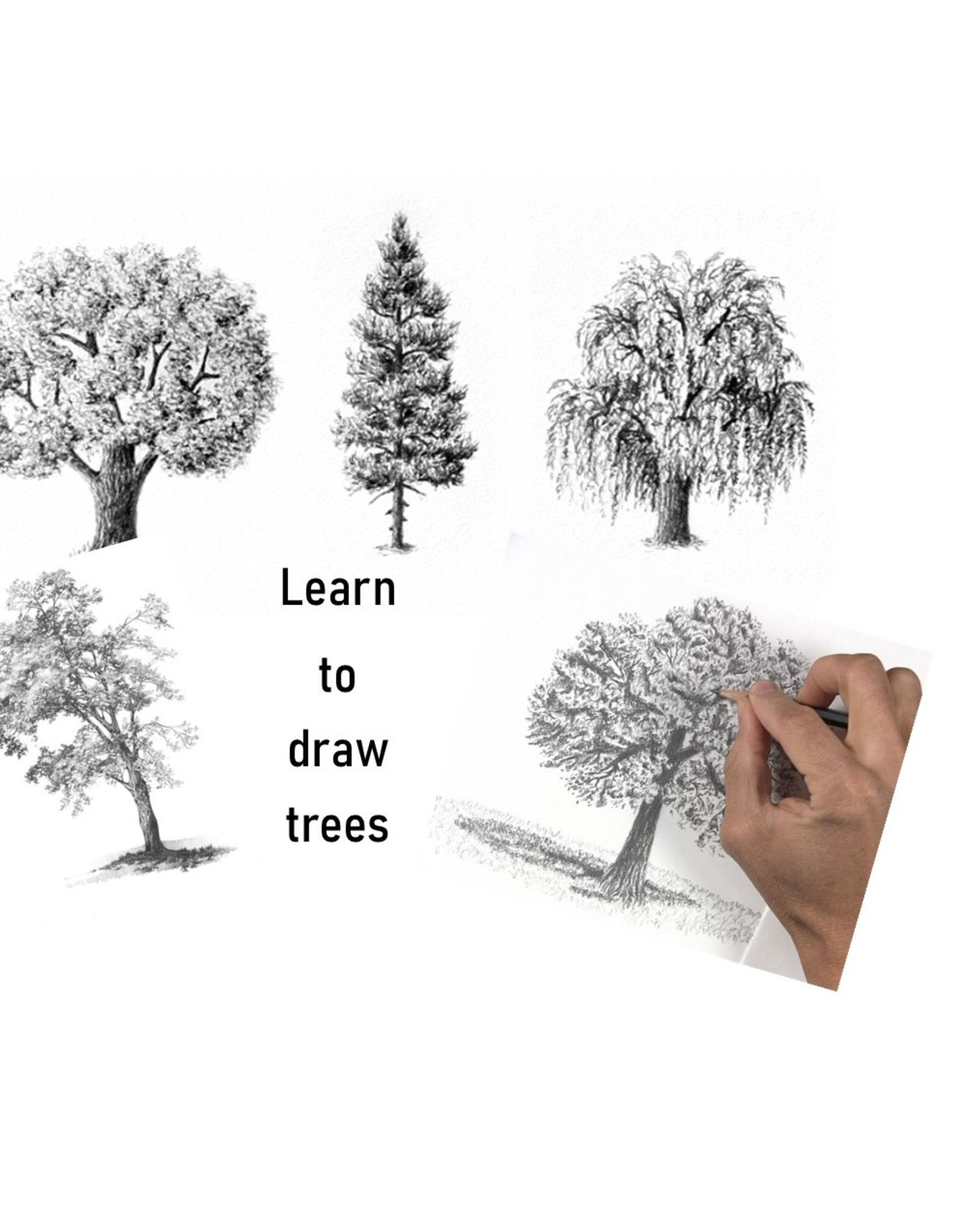 Wallpaper #BWgvFZMBSpphPi3-Zwec226 Aggregate 138 Tree Sketch for Beginners Super Hot Ineteachers