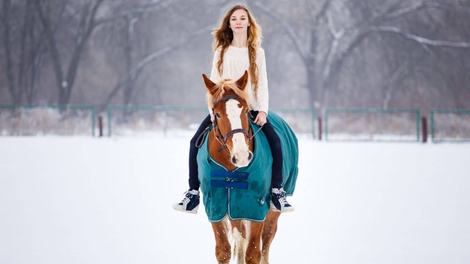 Wallpaper #Rmc1DJMBSpphPi3-Bt0d252 10 Tips for Horseback Riding on Cold Winter Days and in Snow