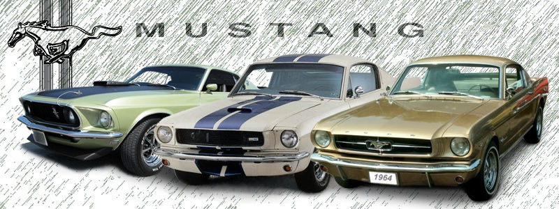 Wallpaper #hrlr3ZIBJvJKYCmEzgBP186 Ford Mustang Paint Chart Color Reference