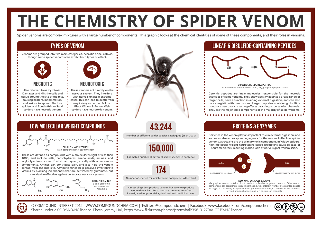 Wallpaper #82dGAZMBSpphPi3-KqlJ46 The Chemistry of Spider Venom Compound Interest