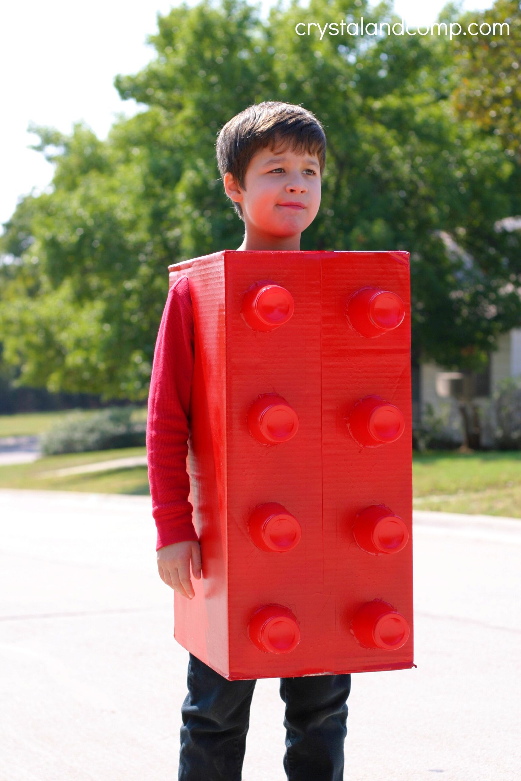 Wallpaper #_l7fMpMBborbLbczQF9742 Homemade Lego Costume