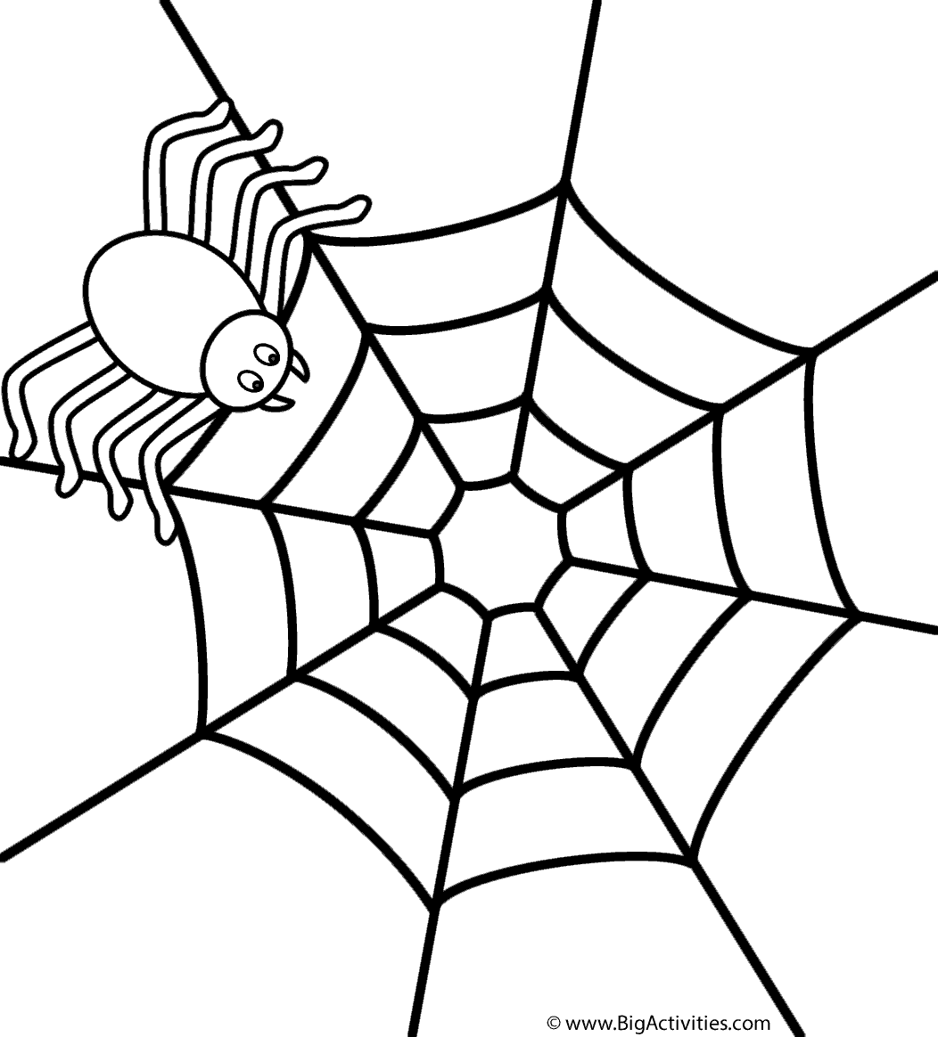 Wallpaper #sQMhZJMBpyOg8YnEWNZf84 Spider on Web Coloring Page Insects