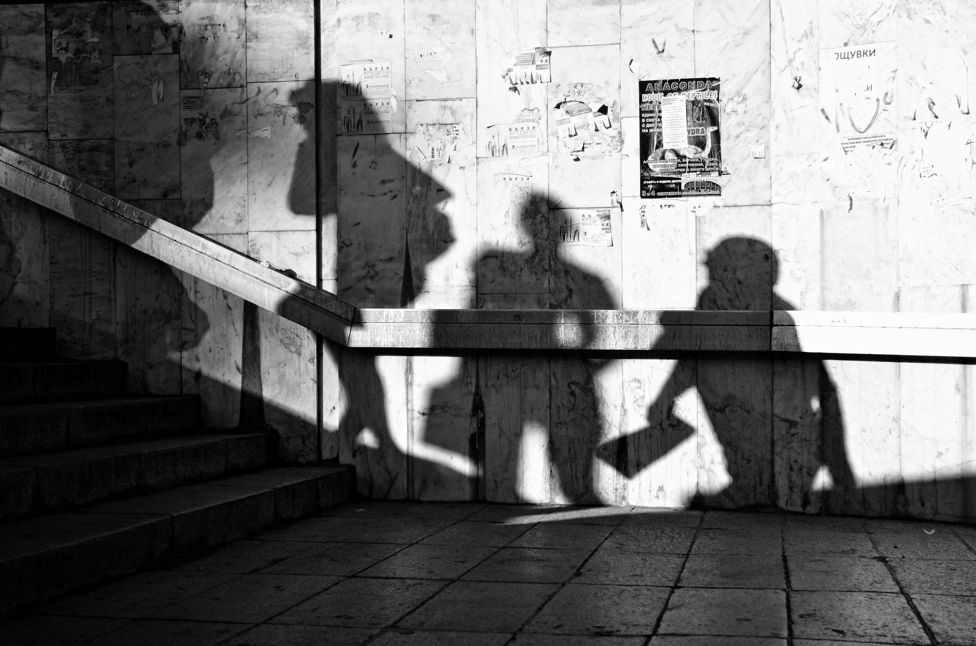 Wallpaper #tB0TLZMBlOZrFDOk0849307 Shadow Photography Ideas