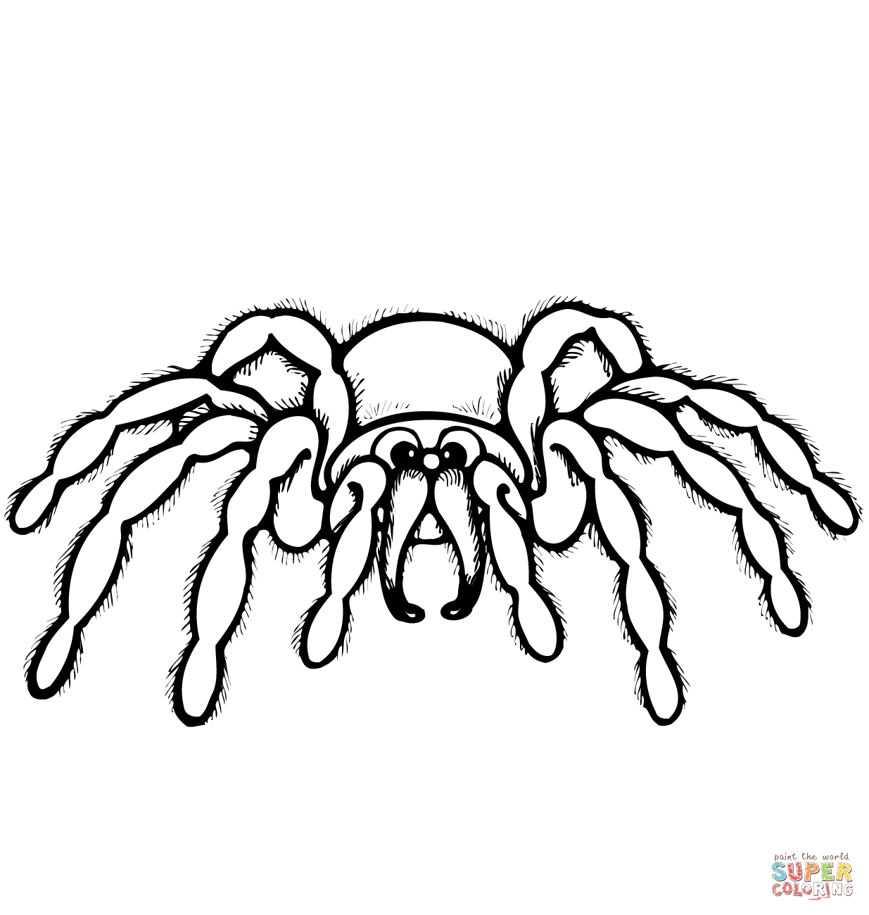 Wallpaper #Gmd6CZMBSpphPi3-WNCd47 1545183392 Cartoon Spider Coloring Page Coloring Page Free Printable