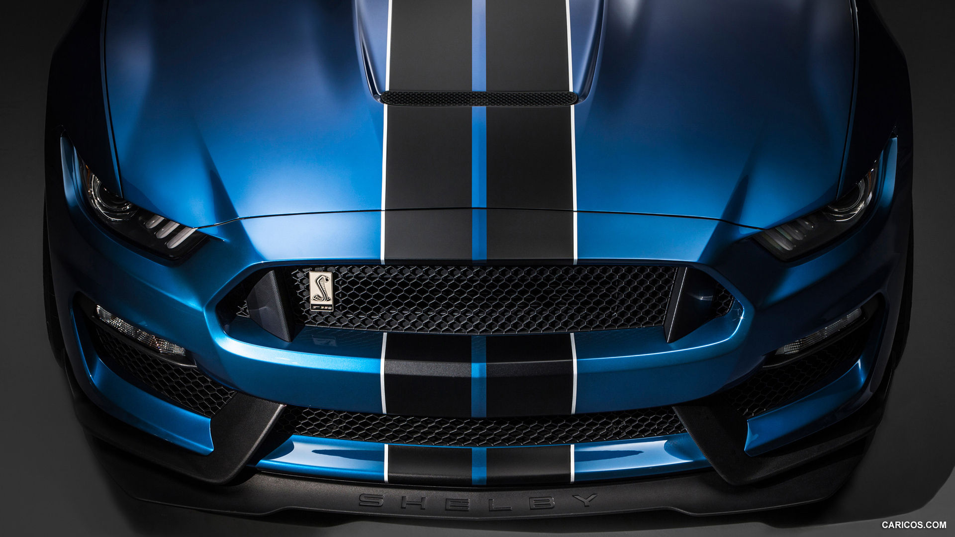 Wallpaper #v3Qxwo4B_8f4nGFaeG7447 2016 Ford Mustang Shelby Gt350r Grill HD Wallpaper 8 1920x1080