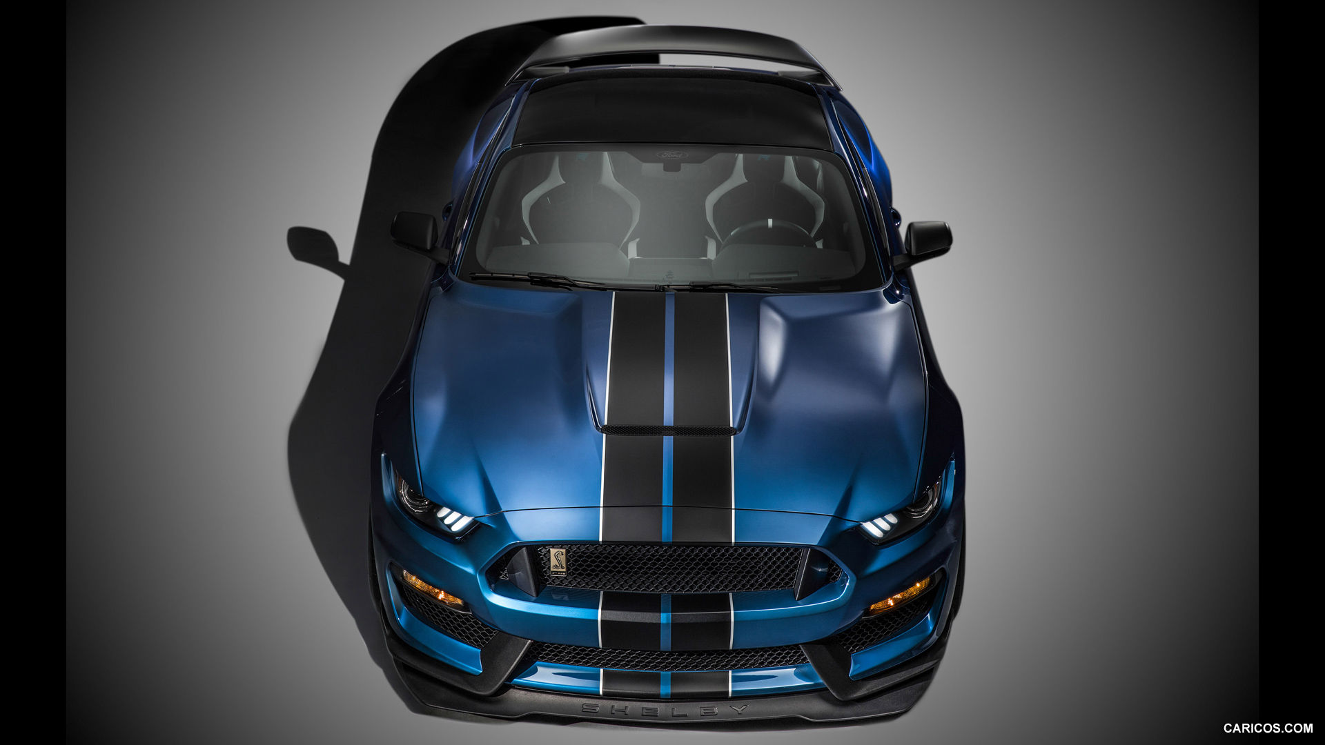 Wallpaper #9HRZwY4B_8f4nGFa4m3i51 2016 Ford Mustang Shelby Gt350r Front HD Wallpaper 5 1920x1080