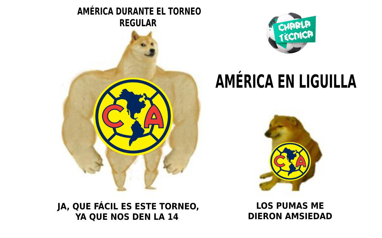 Wallpaper #ZlI-NpMBMJD5Jq7_jAlP4 Total 34 Imagen Memes Aguilas Del America Abzlocalmx