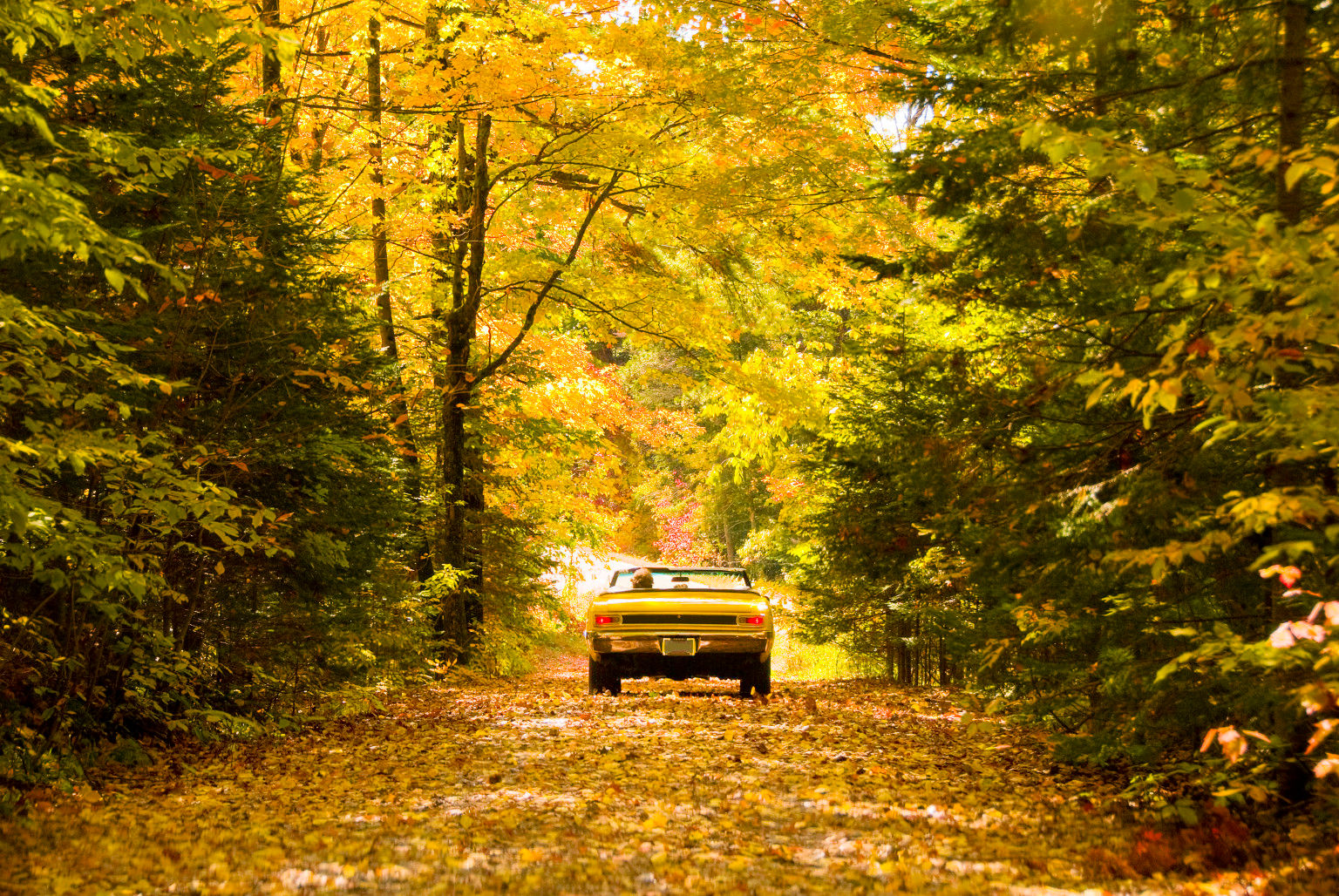 Wallpaper #rWgUHJMBSpphPi3-8SFd55 Scenic Autumn Drives Engineered for Maximum Leaf Peeping Huffpost