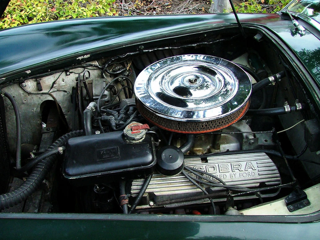 Wallpaper #AGdRA5MBSpphPi3-tLOH171 03 Cobra Engine Bay