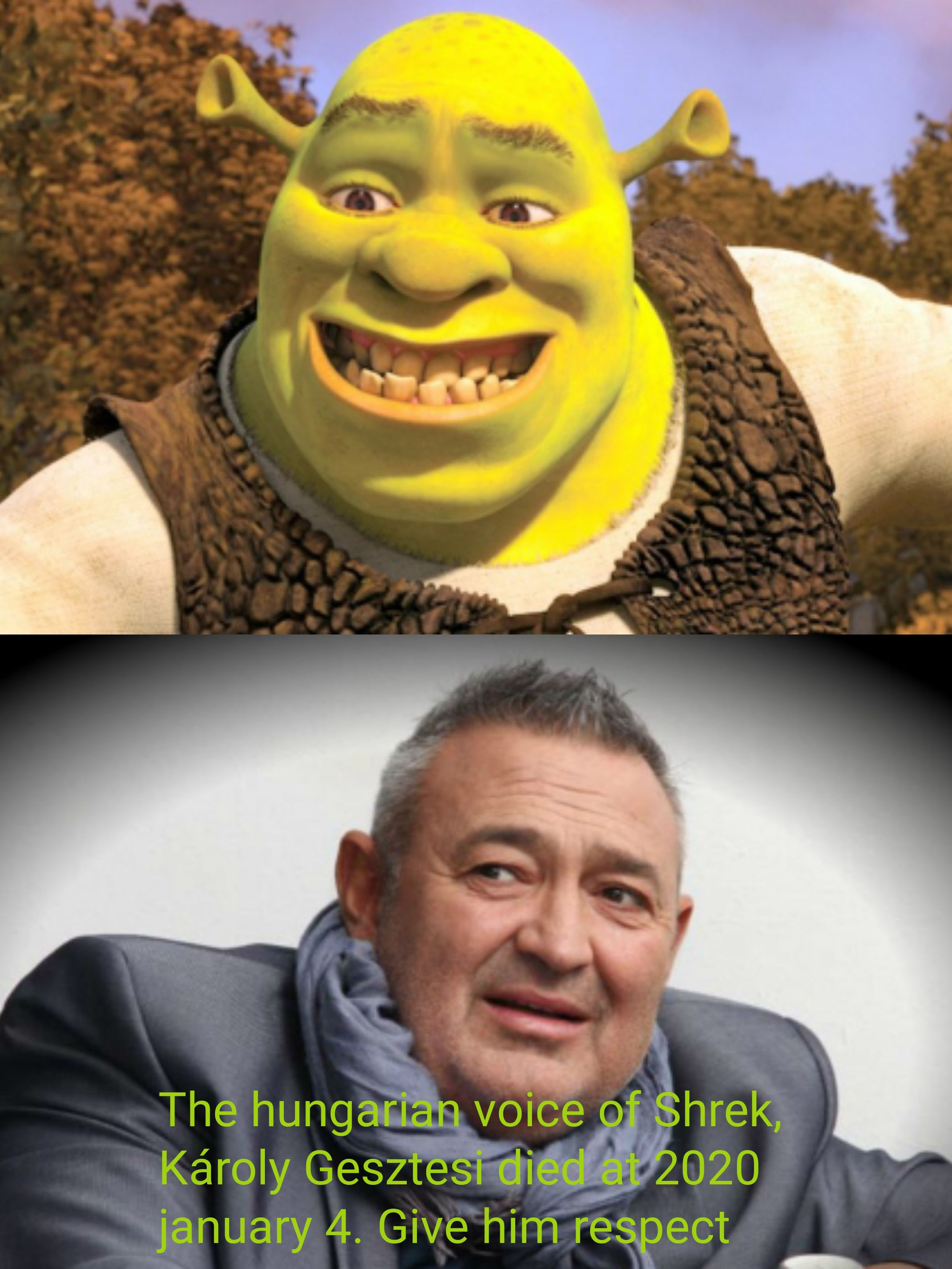 Wallpaper #11e69 Shrek Meme Templates Imgflip