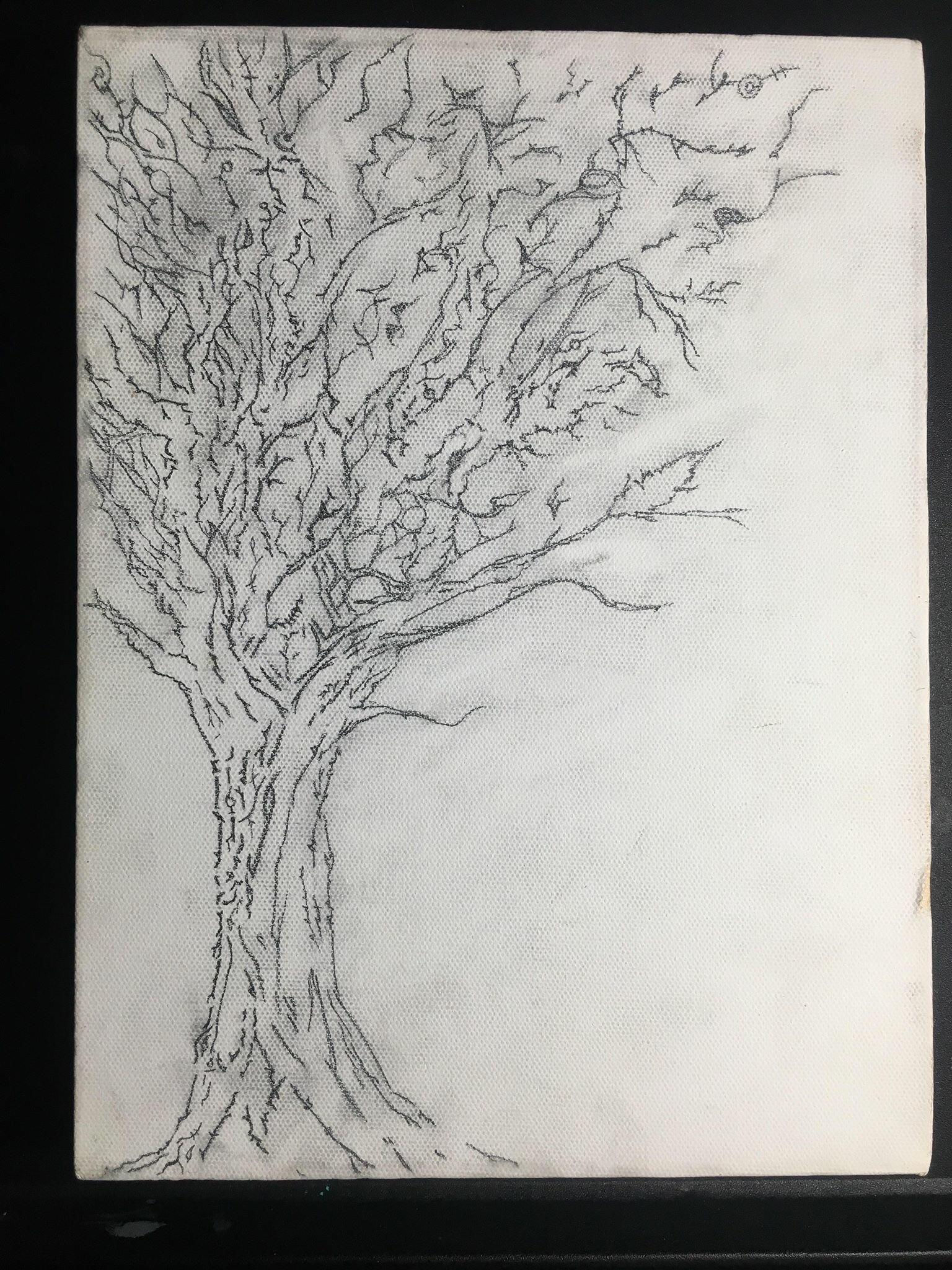 Wallpaper #BWgvFZMBSpphPi3-Zwec68 Trippy Tree Pencil on Canvas 10x12 Rart