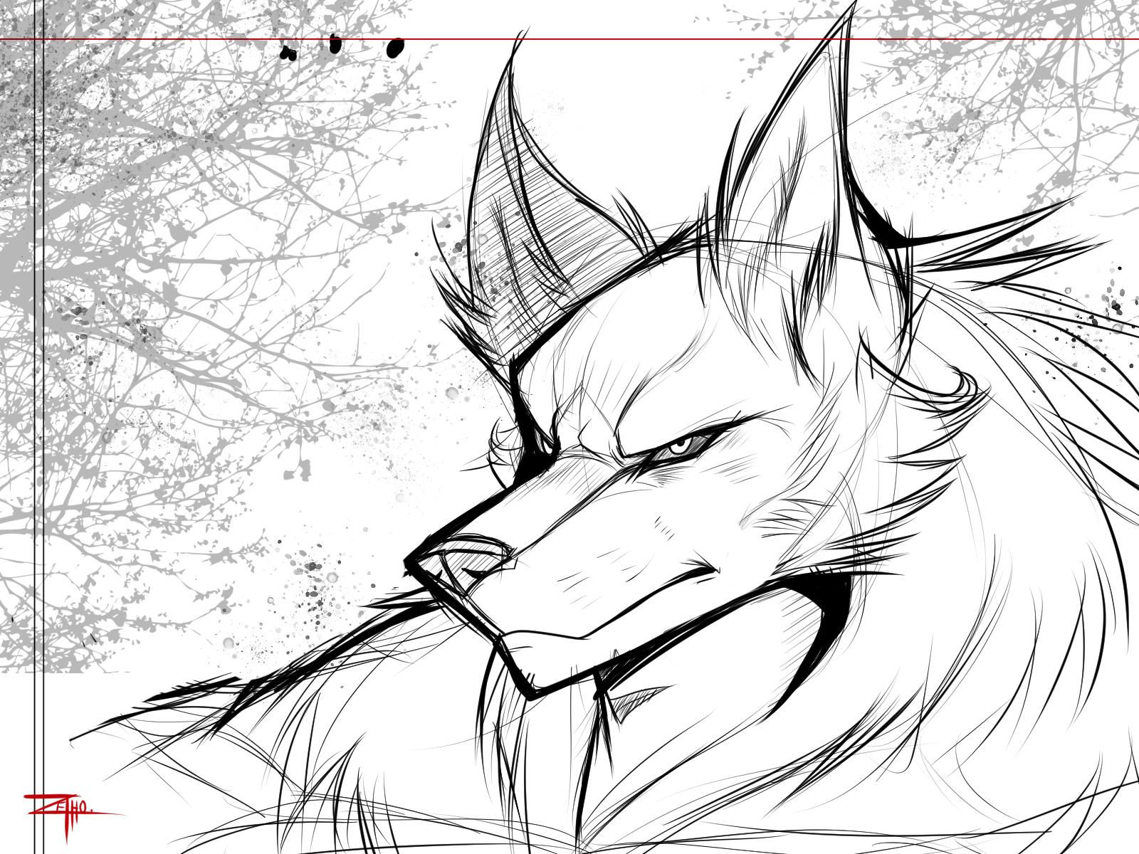 Wallpaper #uEB5MZMBJhL2WPbaucYs287 Another Random Werewolf I Drew I While Back I Should Go Back at