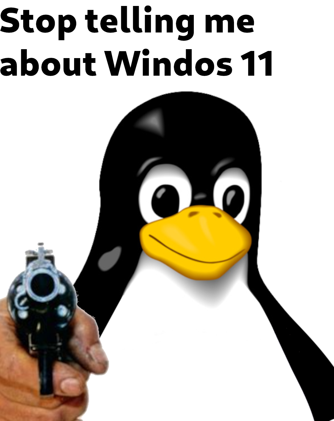 Wallpaper #gmd5BpMBSpphPi3-xMGw161 I Get the Most Information About Windows 11 on This Sub How Ironic