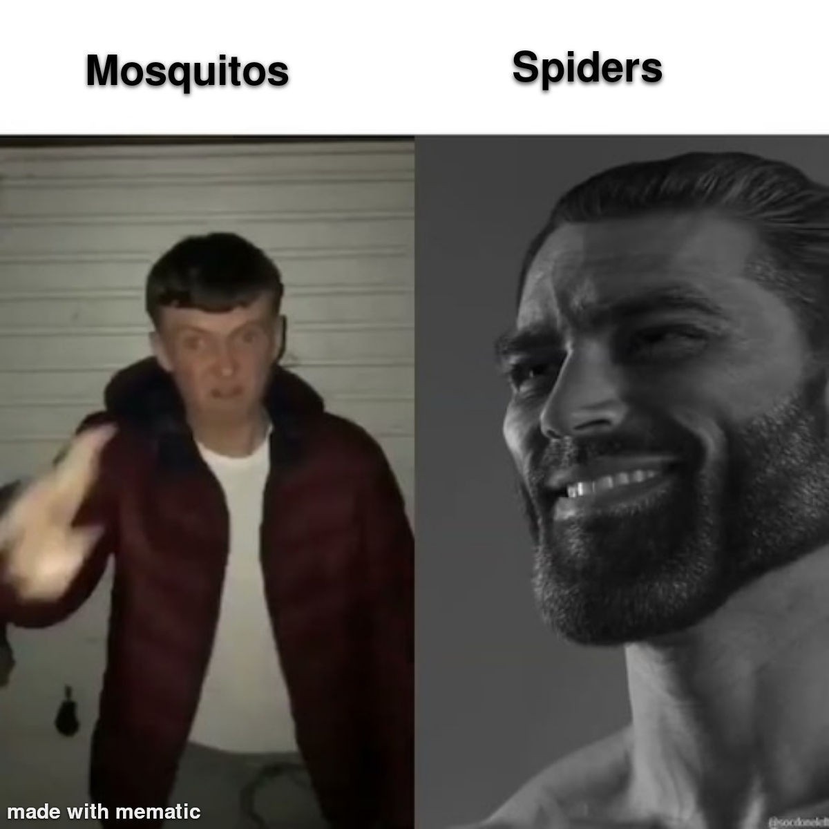 Wallpaper #yliENJMBzN9vxX34XTw6156 Virgin Mosquitos vs Chad Spiders Rmemes