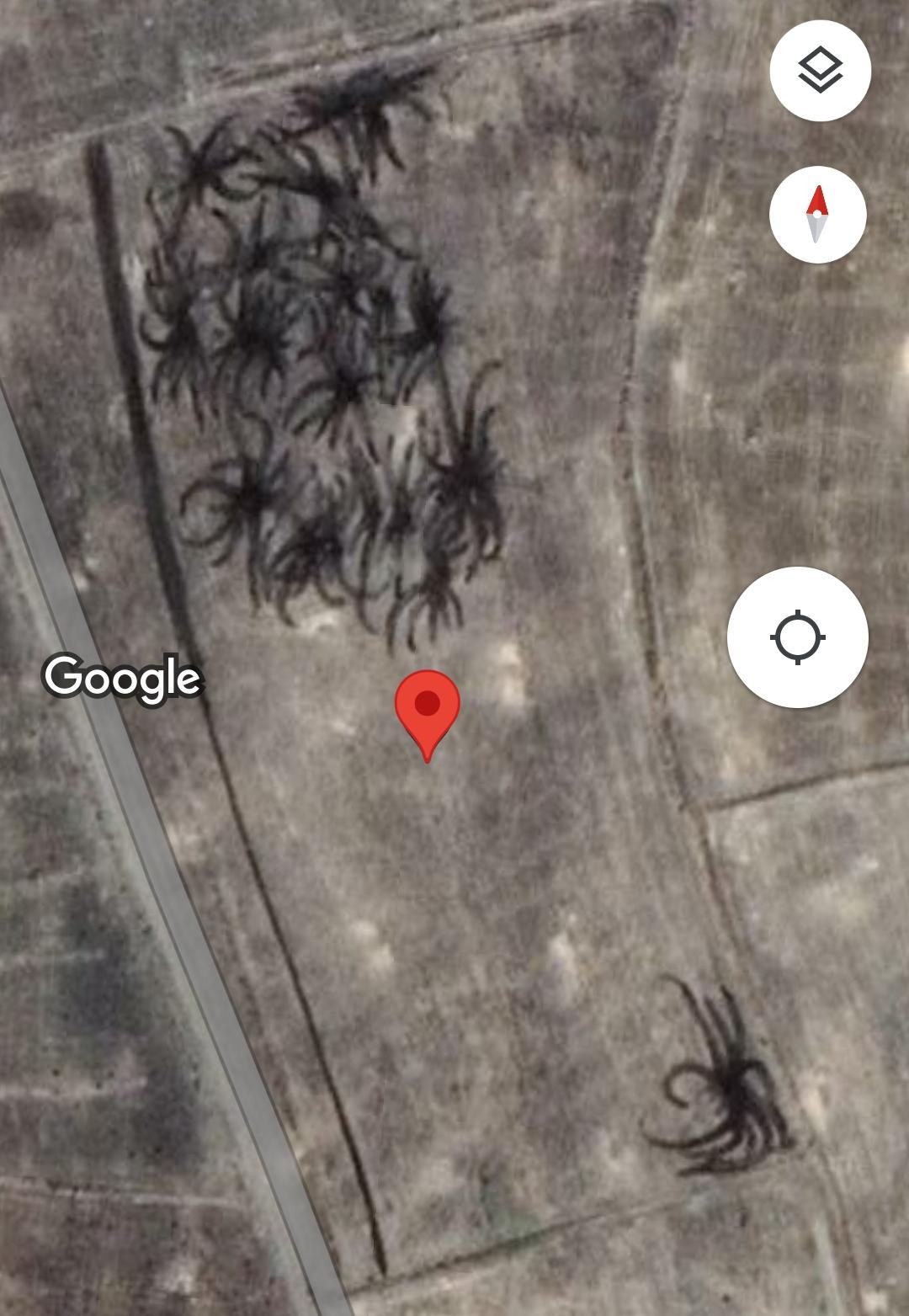 Wallpaper #1vQOOpMBKFX8bn3r-3fK238 These Weird Spider Like Structures in Seyithanbey Turkey Does Anyone