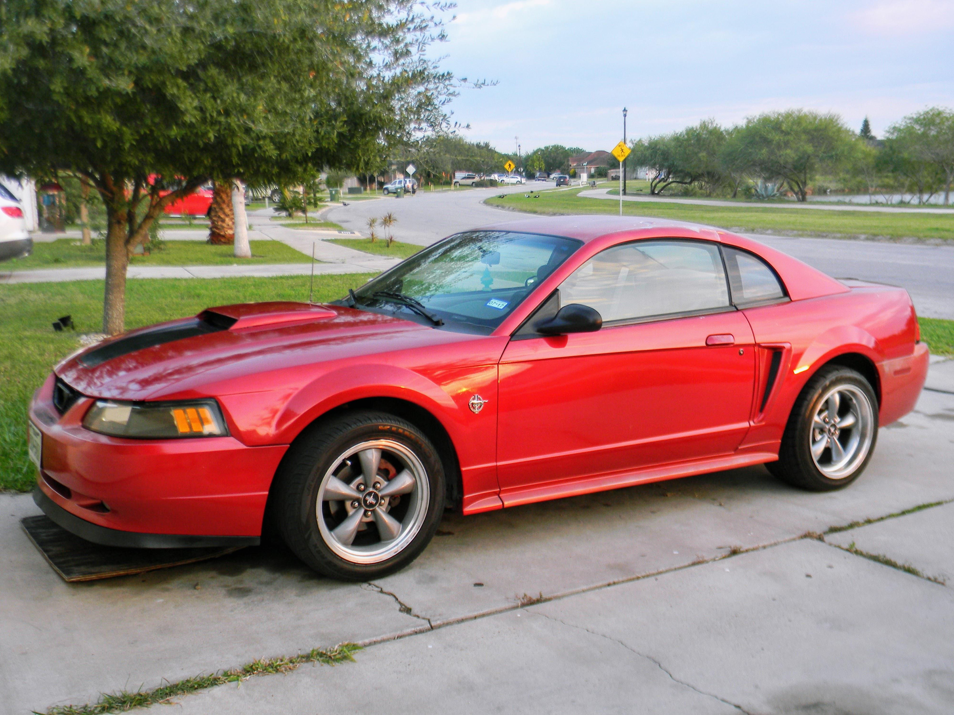 Wallpaper #9UVFk44B7YBJg1BV6p5s57 1999 4x4 Mustang GT Rnewedgemustang