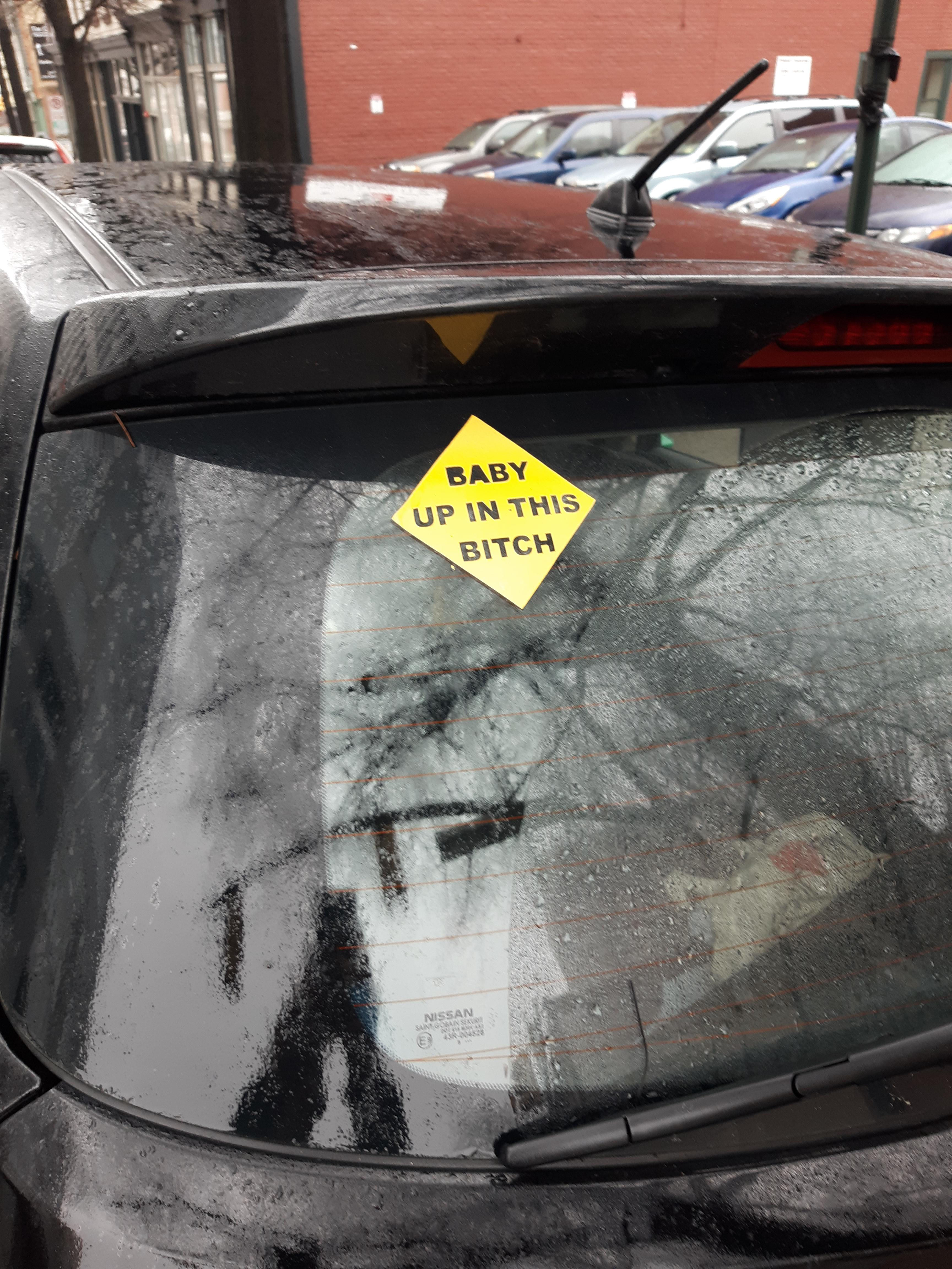 Wallpaper #HmcK_pIBSpphPi3-hp6b250 Best Car Sticker Ive Ever Seen Rfunny
