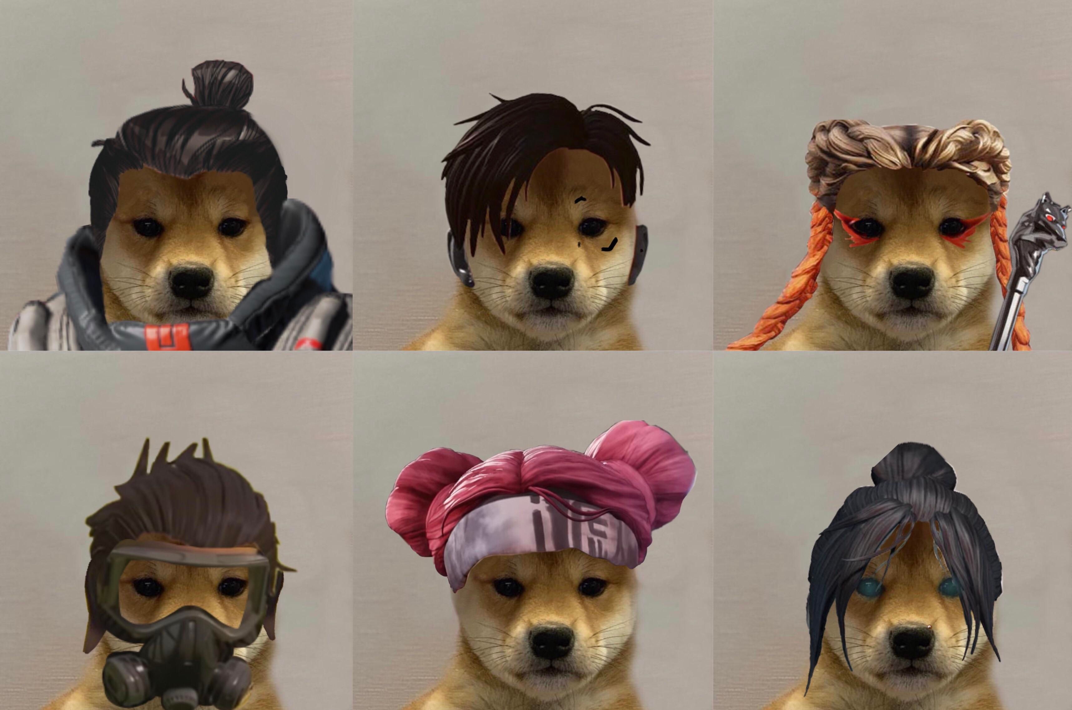 Wallpaper #Hmc2E5MBSpphPi3-Tv9J275 Apex Dog Wif Hats I Made Rapexlegends