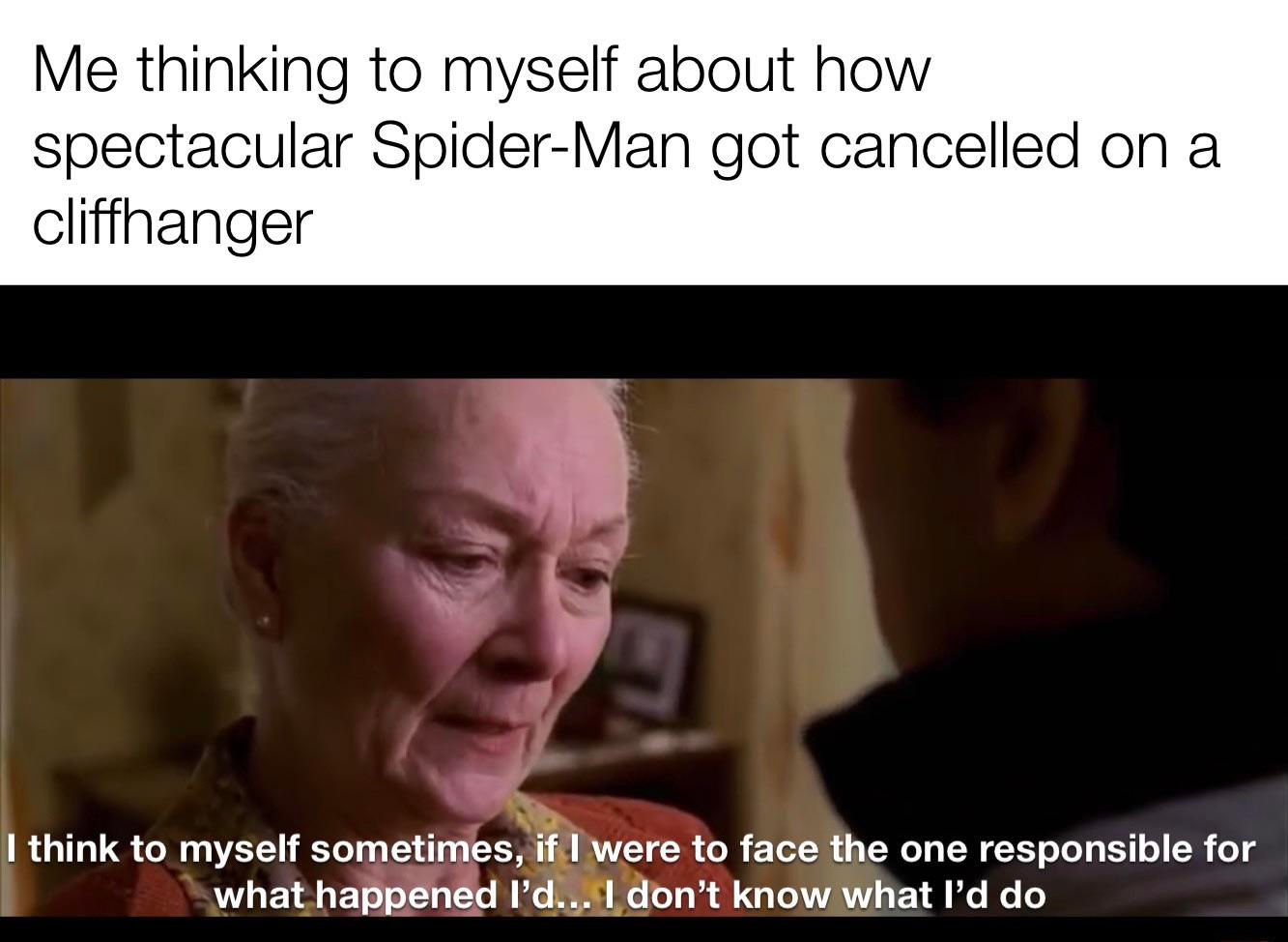 Wallpaper #jQCW6o4BSdW8dNouVw-a22 Making a Meme Out of Every Line in Spider Man 2 Meme 157 Rraimimemes
