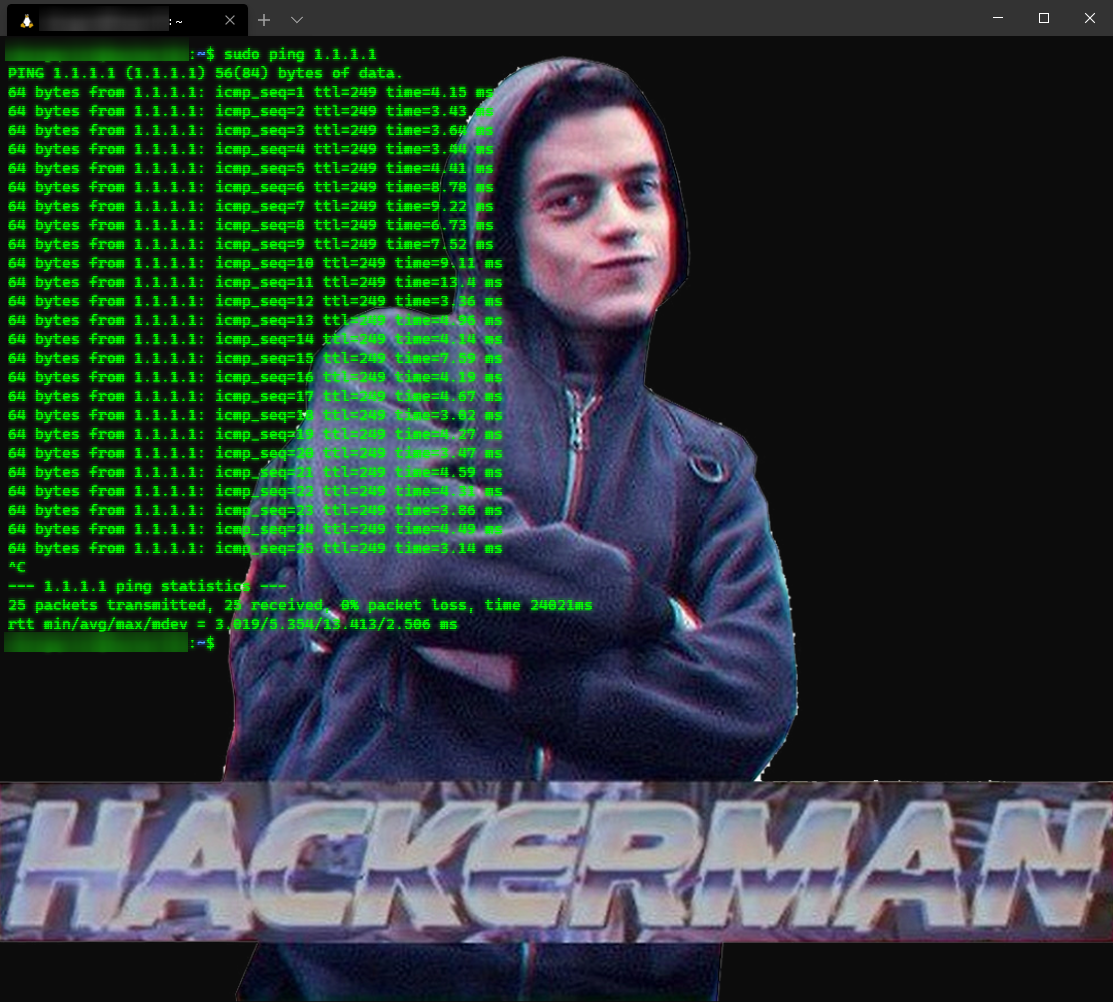 Wallpaper #gmd5BpMBSpphPi3-xMGw452 Kali Linux on the New Windows Terminal Rnetworkingmemes
