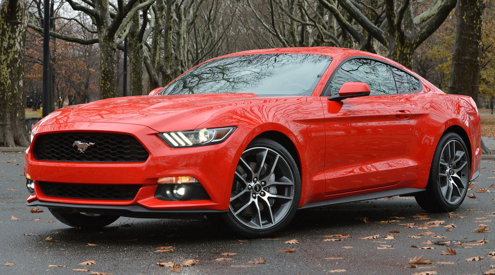 Wallpaper #k32H8Y4Bnwiau_P6zQlY50 2015 2016 2017 Ford Mustang for Sale in Your Area Cargurus