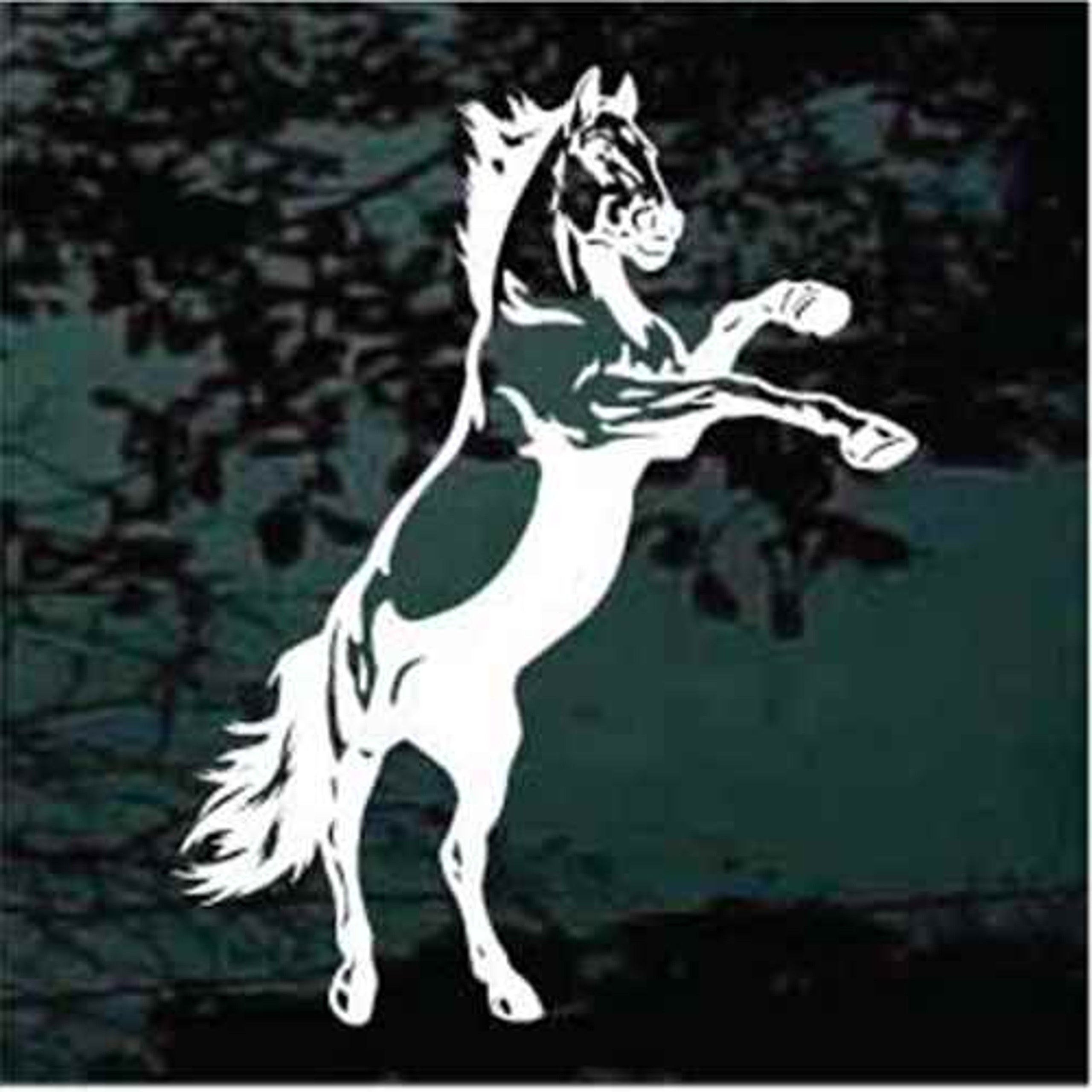Wallpaper #-Cy2SZMB0E1QgA7wEfOi28 Mustang Horse Rearing Decals Stickers Decal Junky