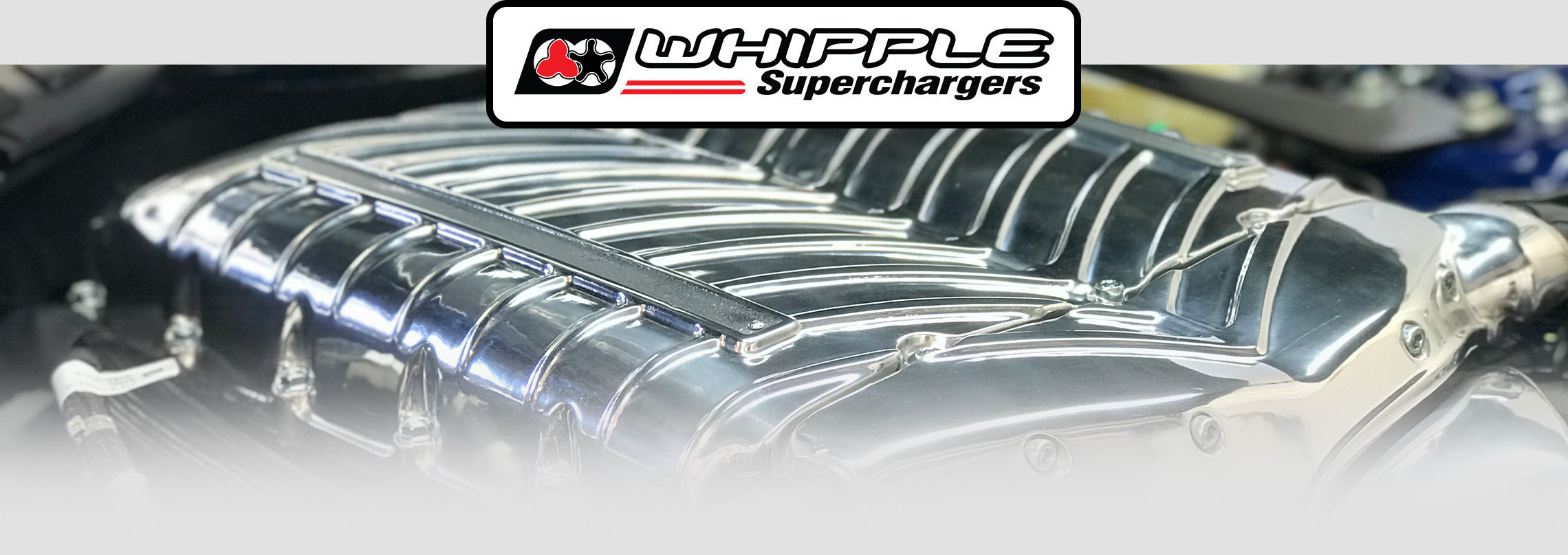 Wallpaper #2uqcVJMBlwTYPL18FgsO187 Power Performance Whipple Superchargers Herrod Performance