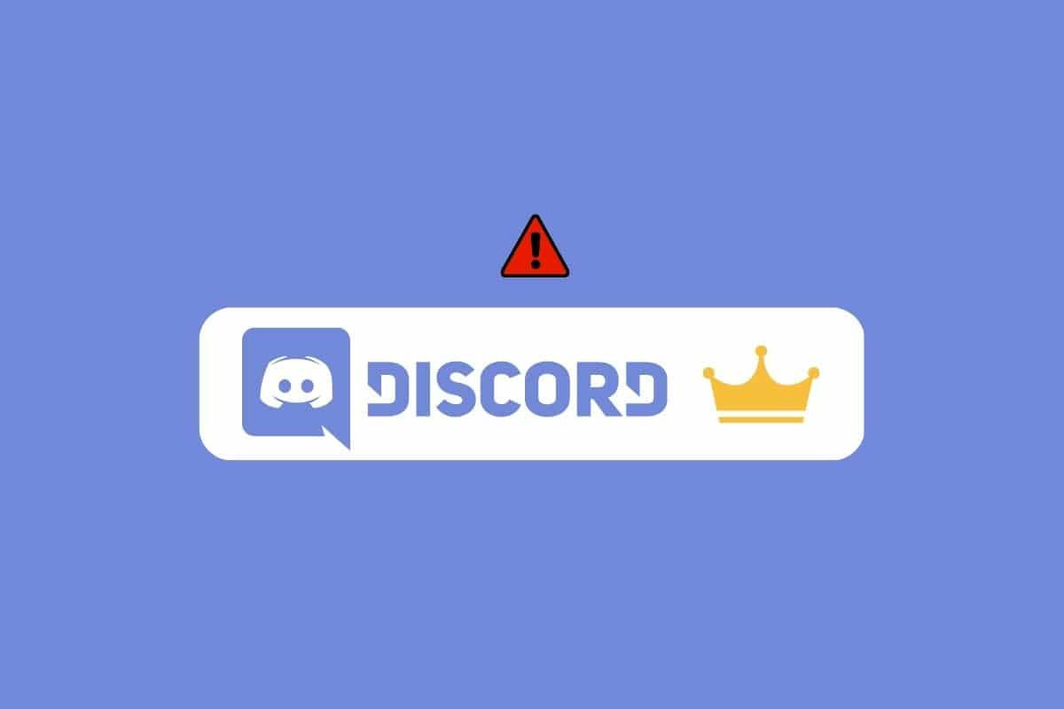 Wallpaper #GGg1GpMBSpphPi3-_hvw237 Fix Discord Server Owner Crown Not Showing Techcult