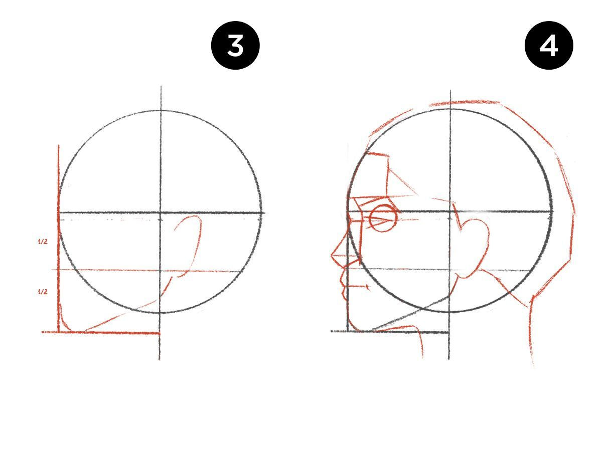 Wallpaper #JneBJ5MB-pgBXx60B6YM222 How to Draw Female Face Step by Step Guide of Drawing Portrait from