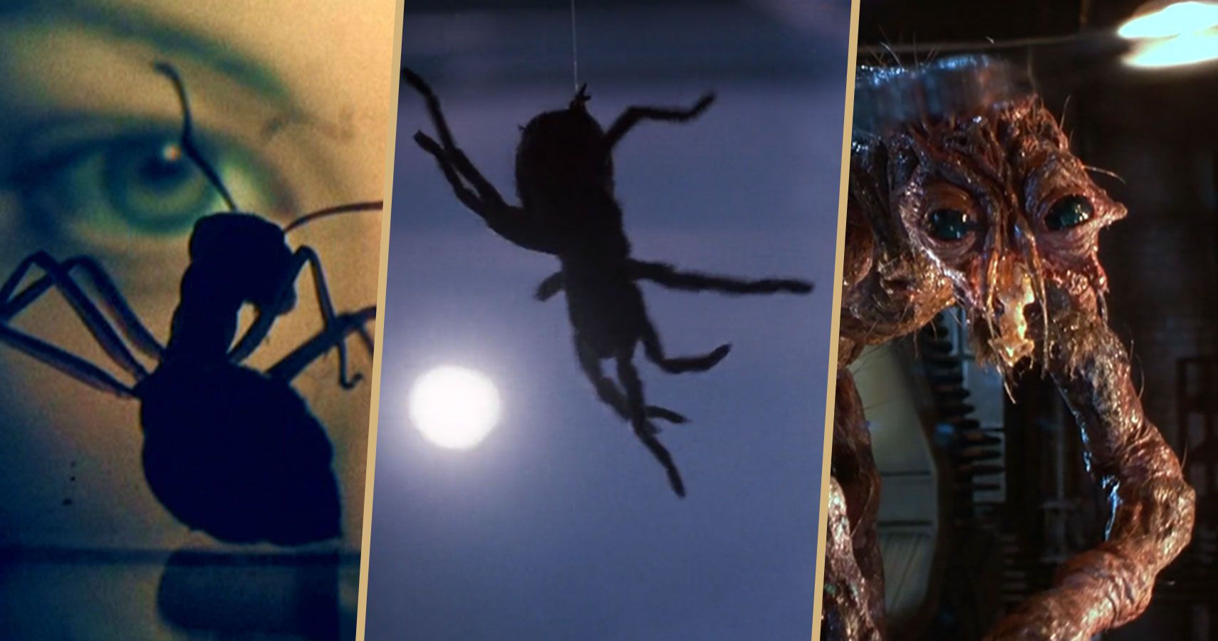 Wallpaper #FRkNE48BtGB6xQ78l2V846 The 10 Scariest Horror Films Featuring Spiders Insects Pokemonwecom