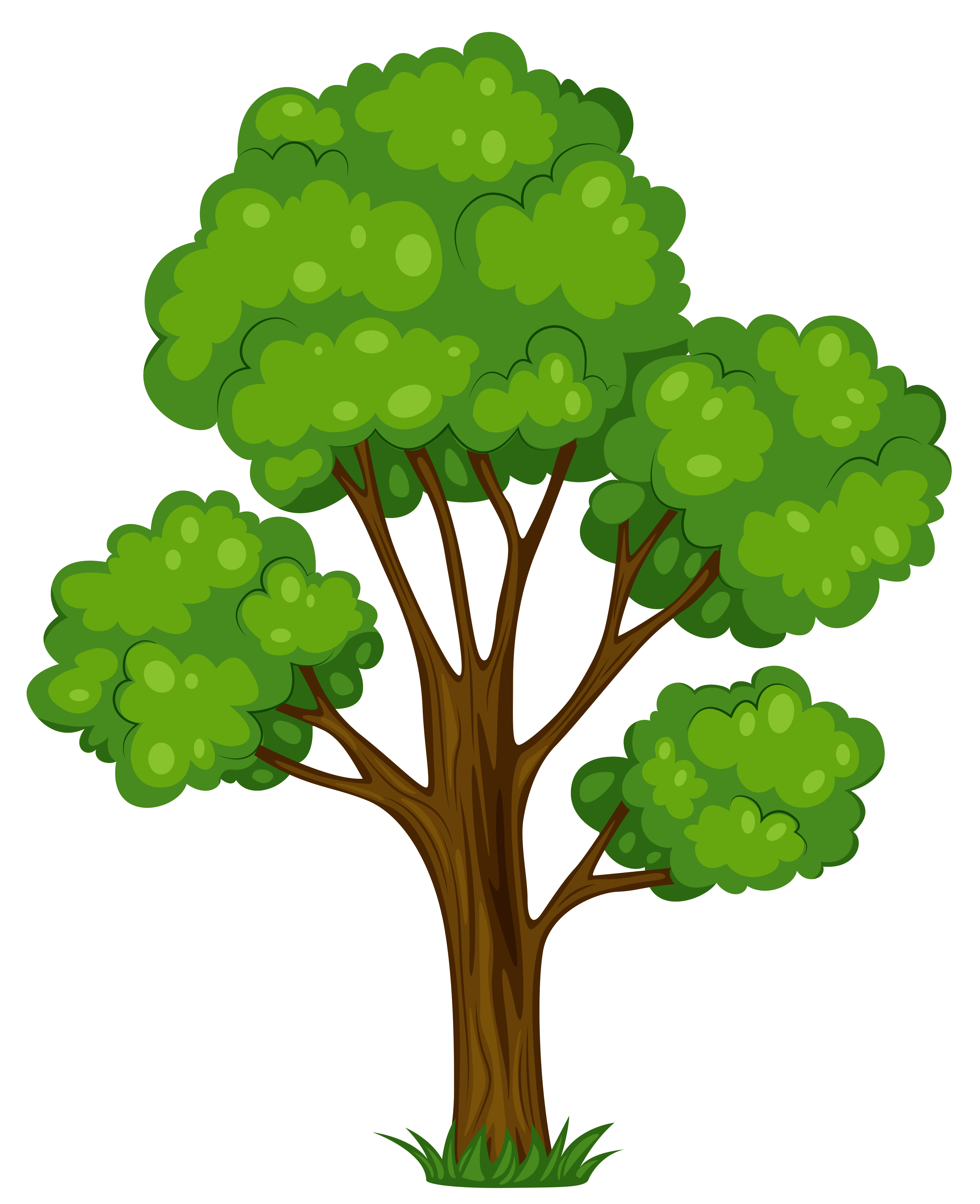 Wallpaper #9mdFCpMBSpphPi3-NNO0433 Trees Tree Clipart Free Clipart Images 4 Clipartix