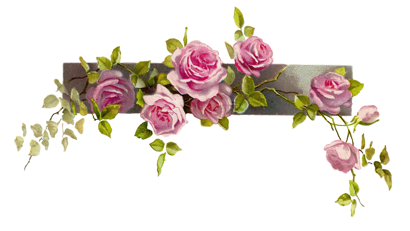 Wallpaper #ymhVIpMBSpphPi3-7TIp33 Flower Border Vintage Rose Border Clipart Clipart Kid Clipartix