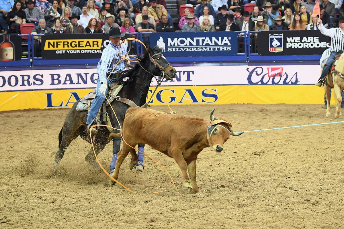 Wallpaper #Rmc1DJMBSpphPi3-Bt0d189 Dark Horse Snow and Thorp Win Round 7 Stay in World Title Hunt