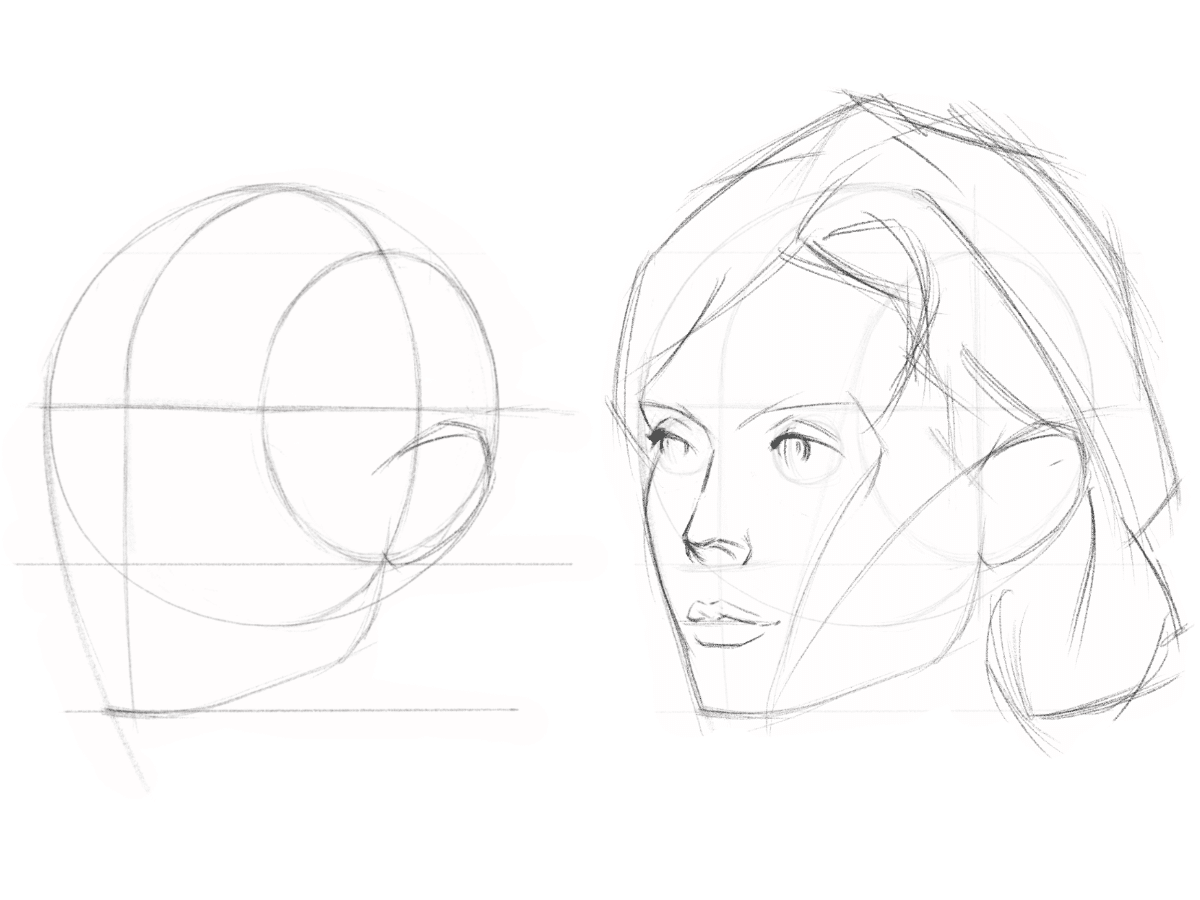Wallpaper #fULzPJMBOBpx0NhmUcKW356 Loomis Method Draw a Head from Any Angle